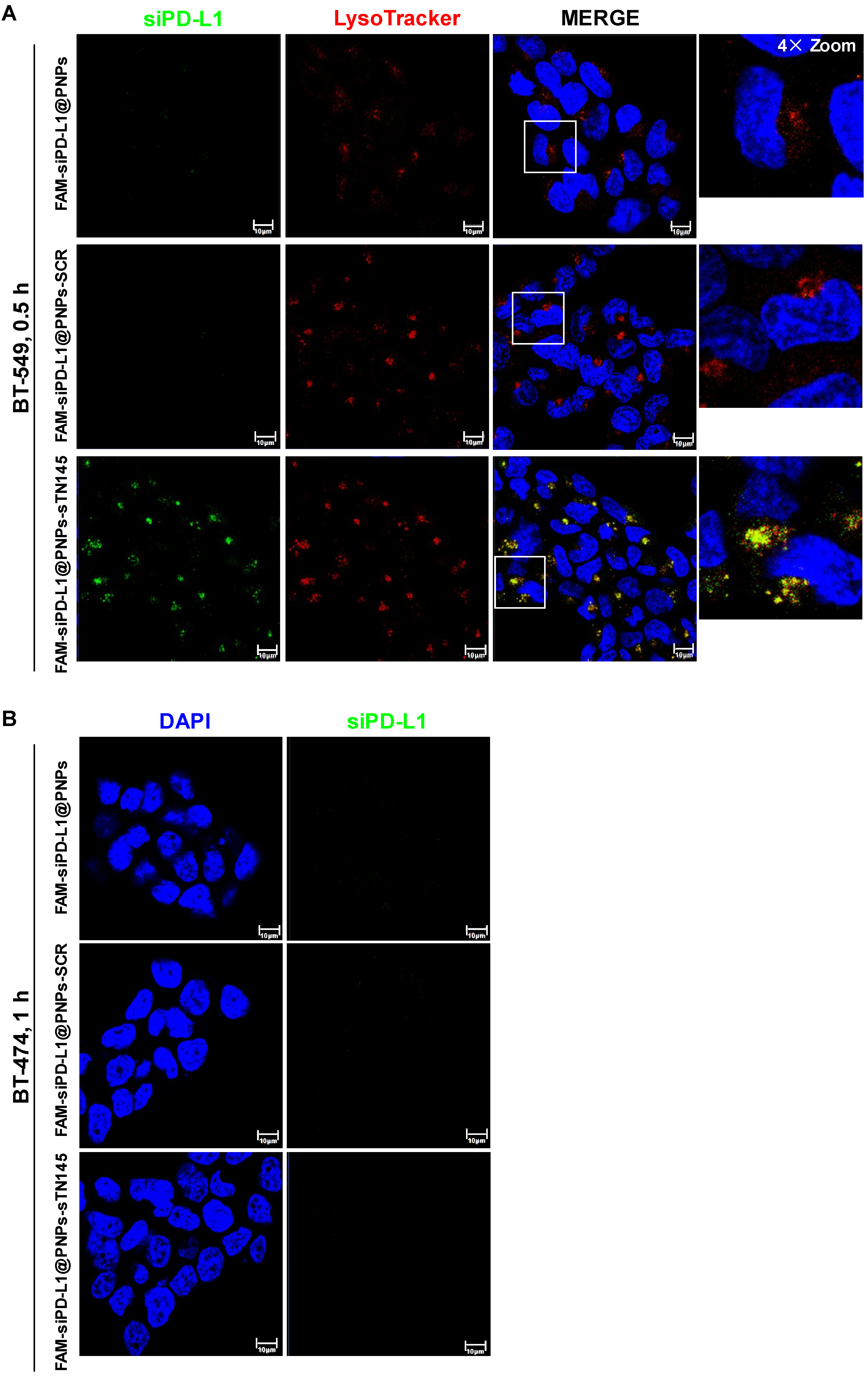 Pharmaceutics 14 02225 g003