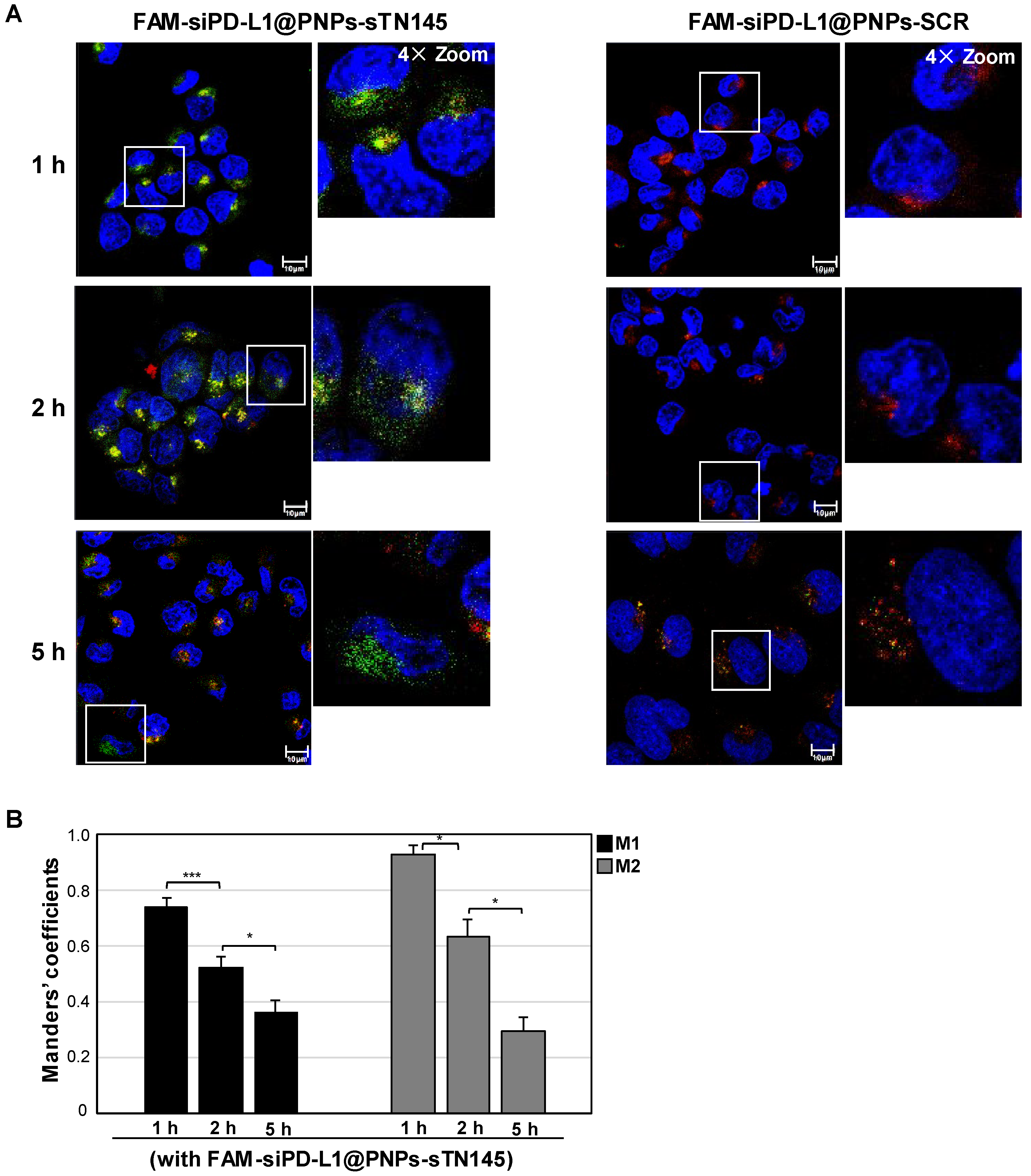 Pharmaceutics 14 02225 g004
