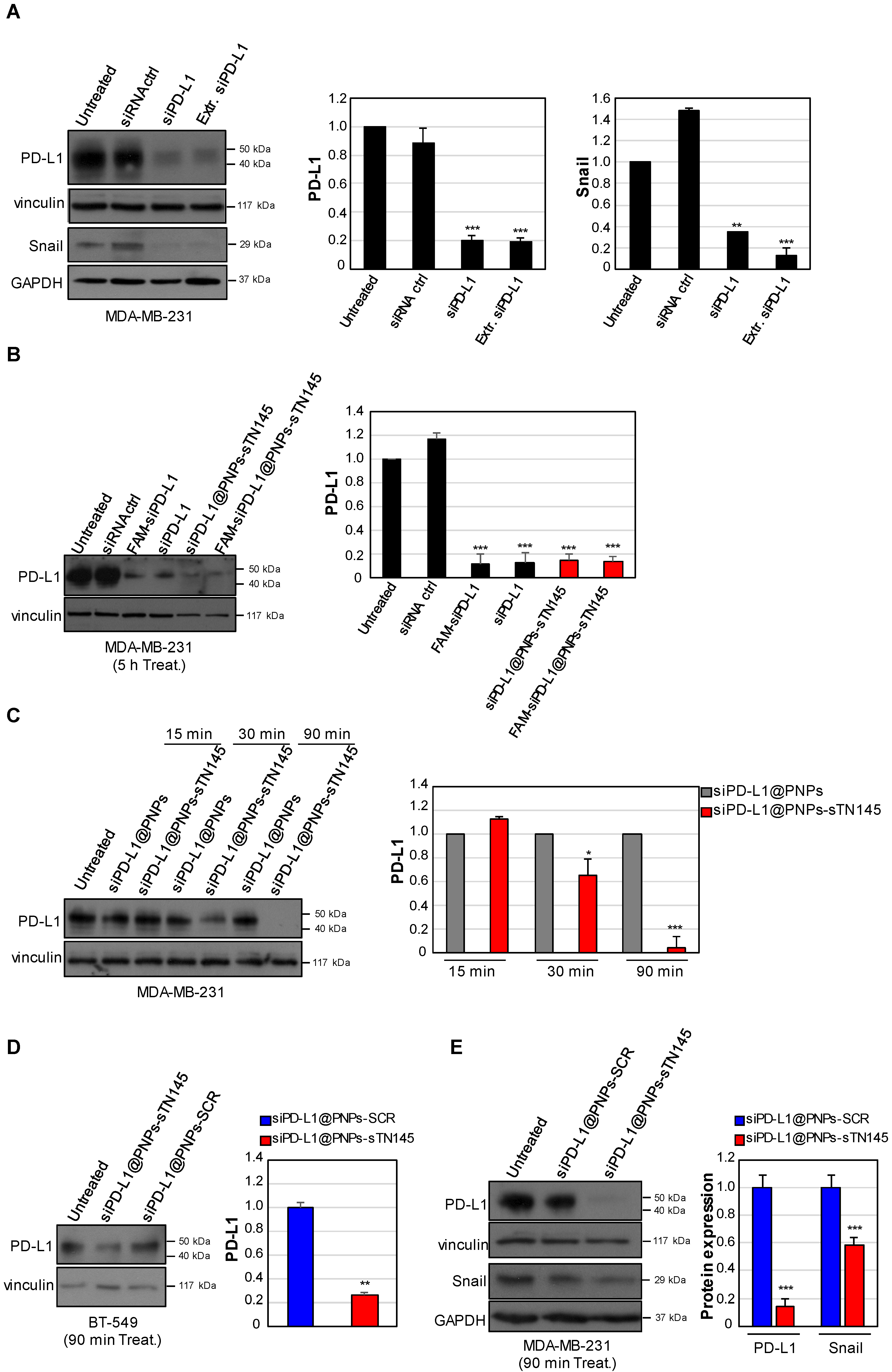 Pharmaceutics 14 02225 g005