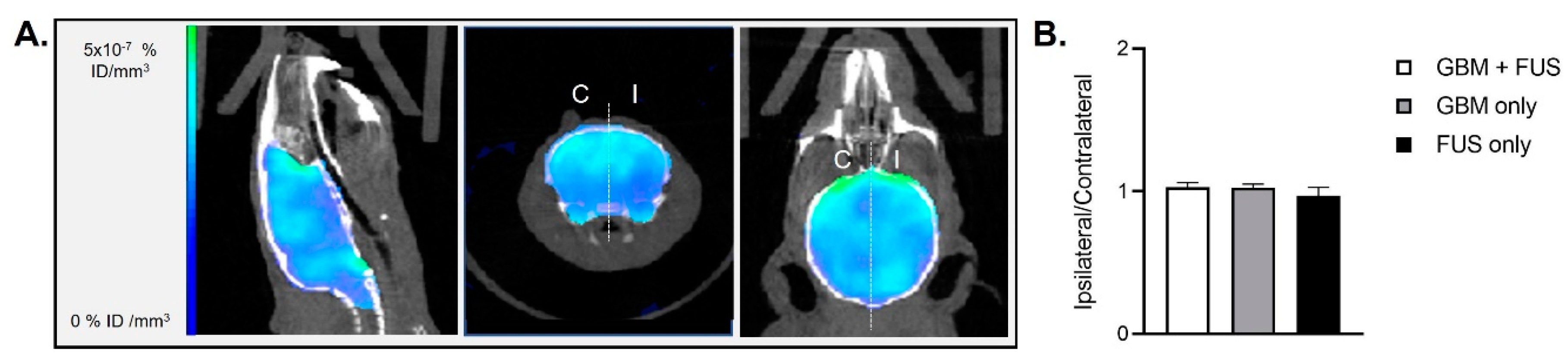 Pharmaceutics 14 02227 g004