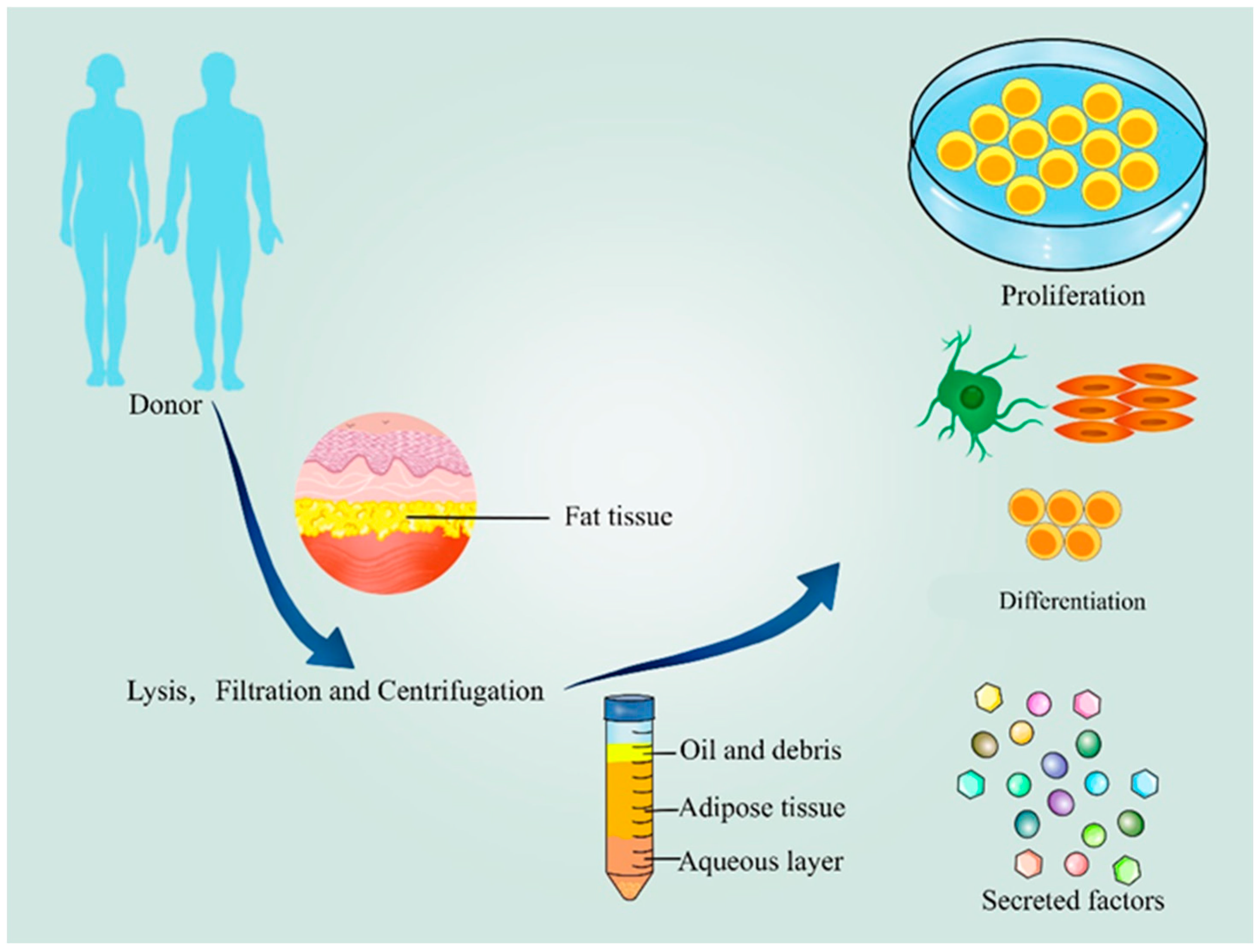 Pharmaceutics 14 02229 g001 Pharmaceutics 14 02229 g001