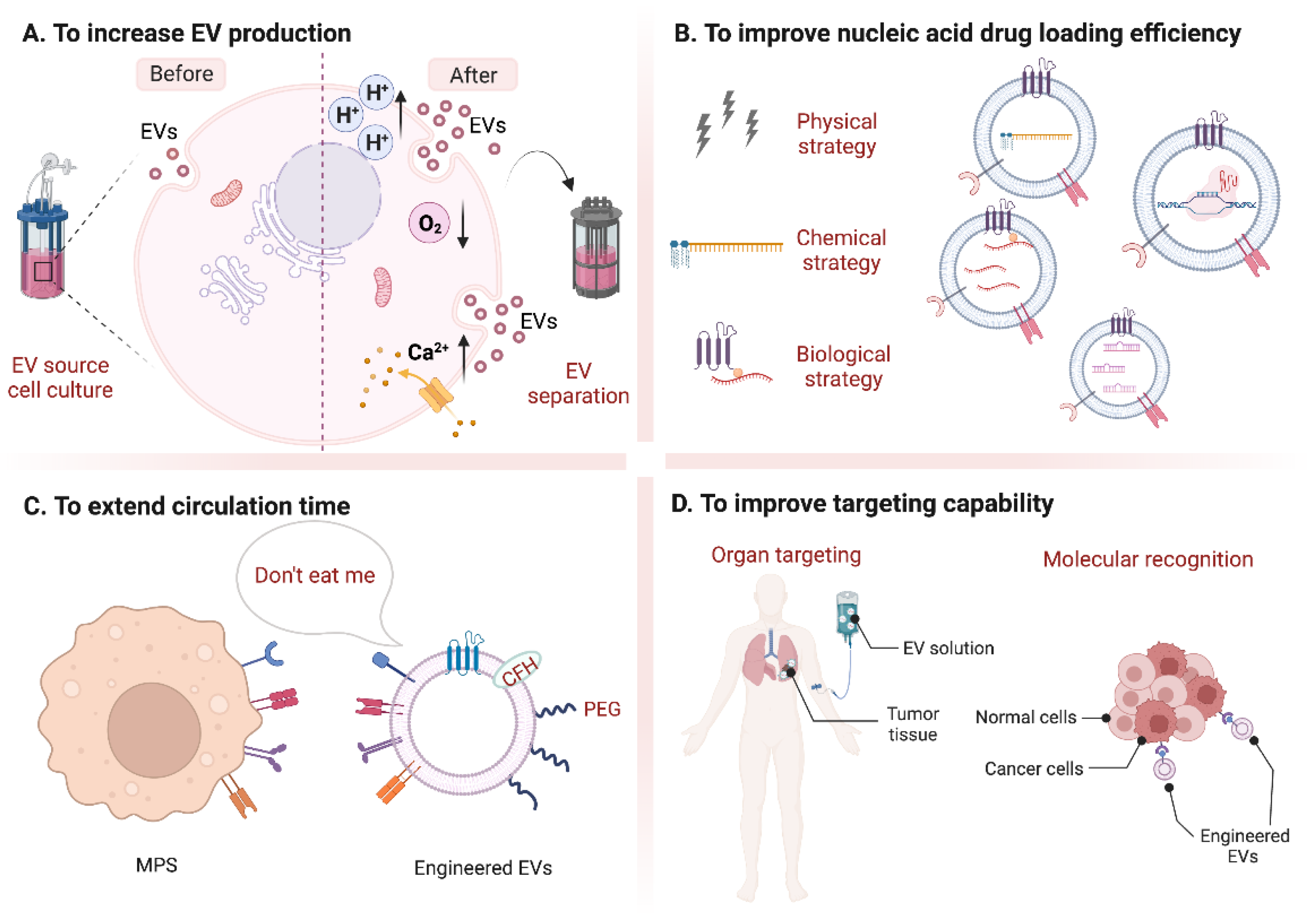 Pharmaceutics 14 02236 g001 Pharmaceutics 14 02236 g001