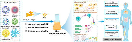 Modulation of Macrophages Using Nanoformulations with Curcumin to Treat  Inflammatory Diseases: A Concise Review