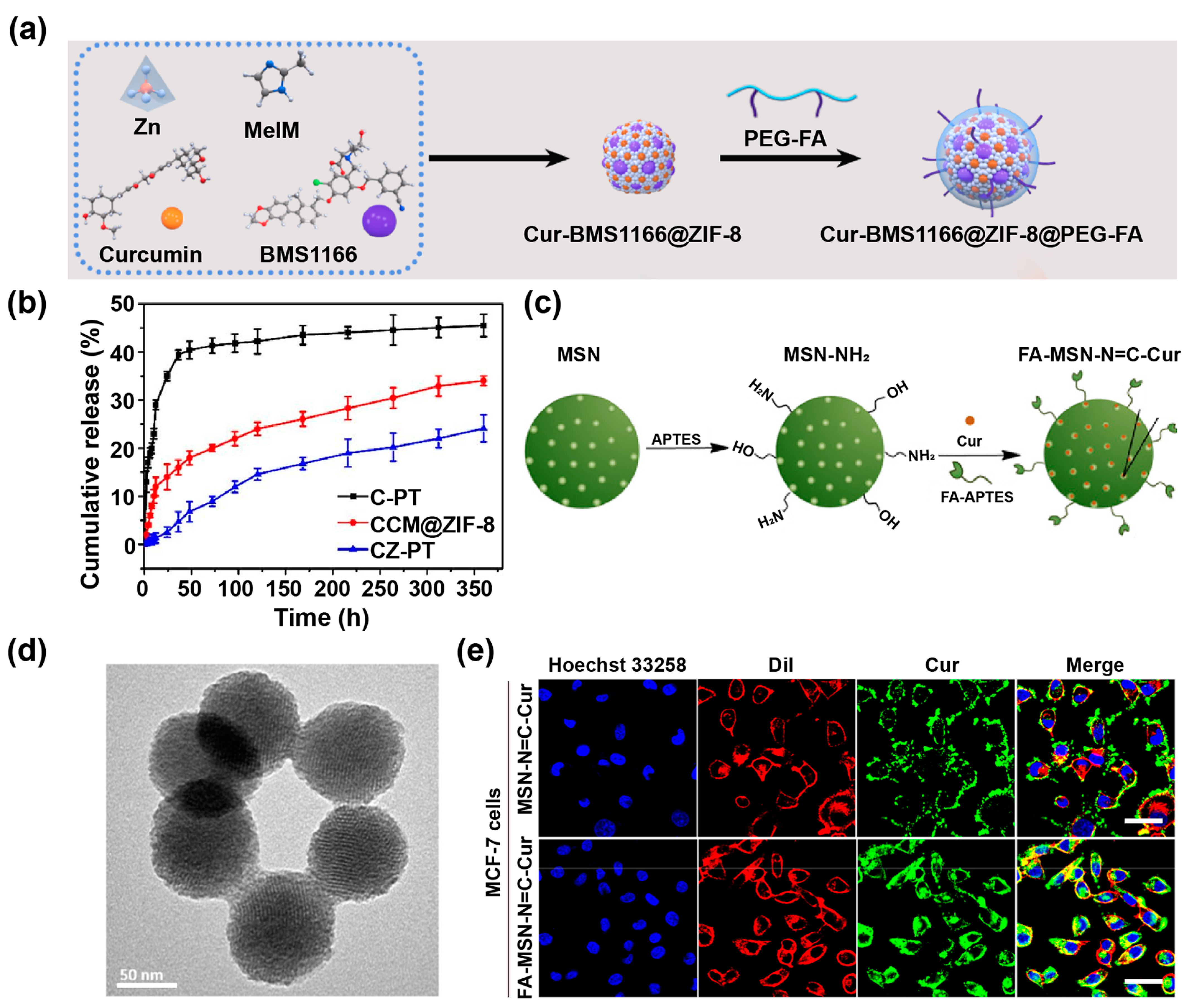 Pharmaceutics 14 02239 g002 Pharmaceutics 14 02239 g002