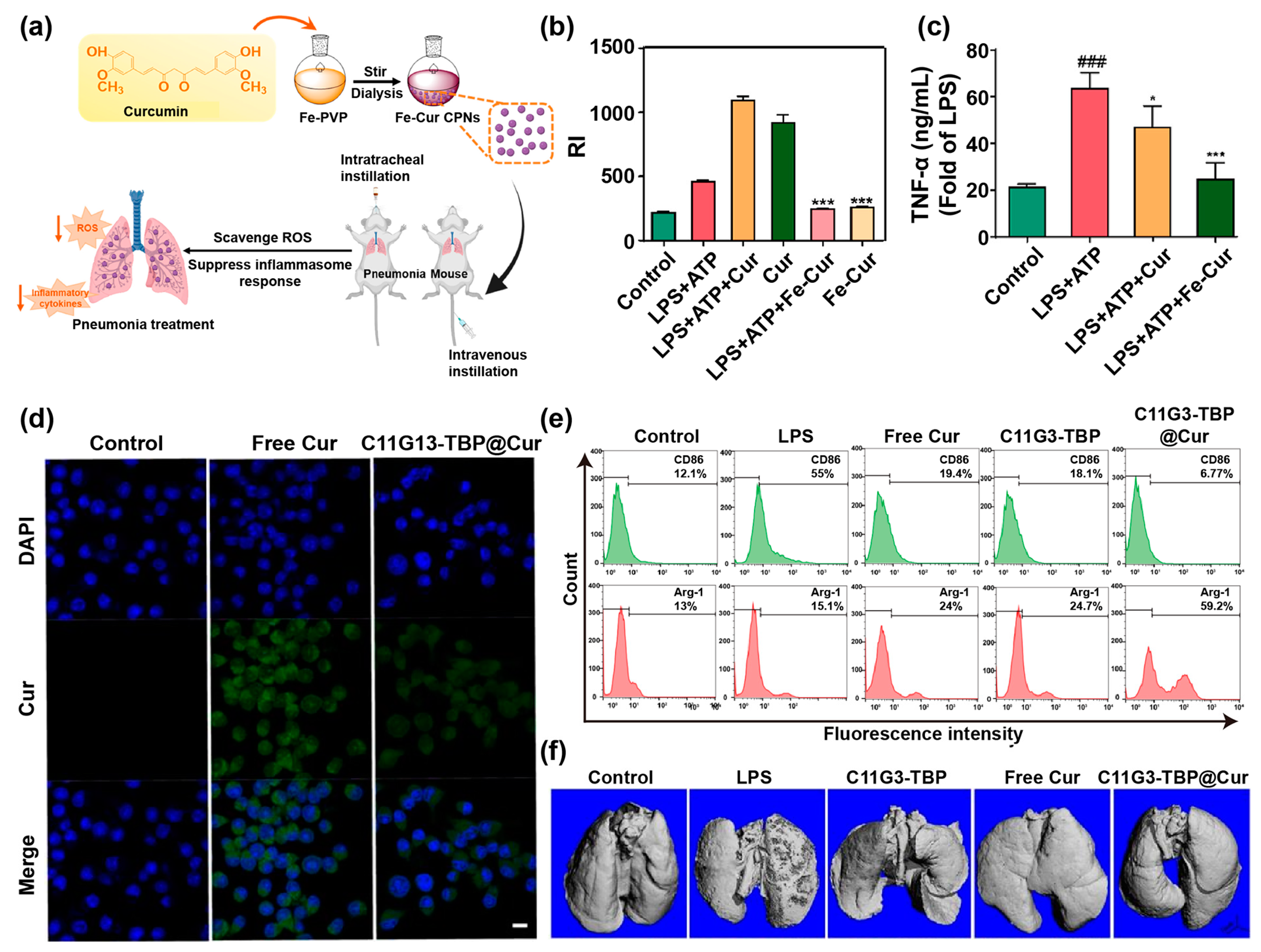 Pharmaceutics 14 02239 g006 Pharmaceutics 14 02239 g006
