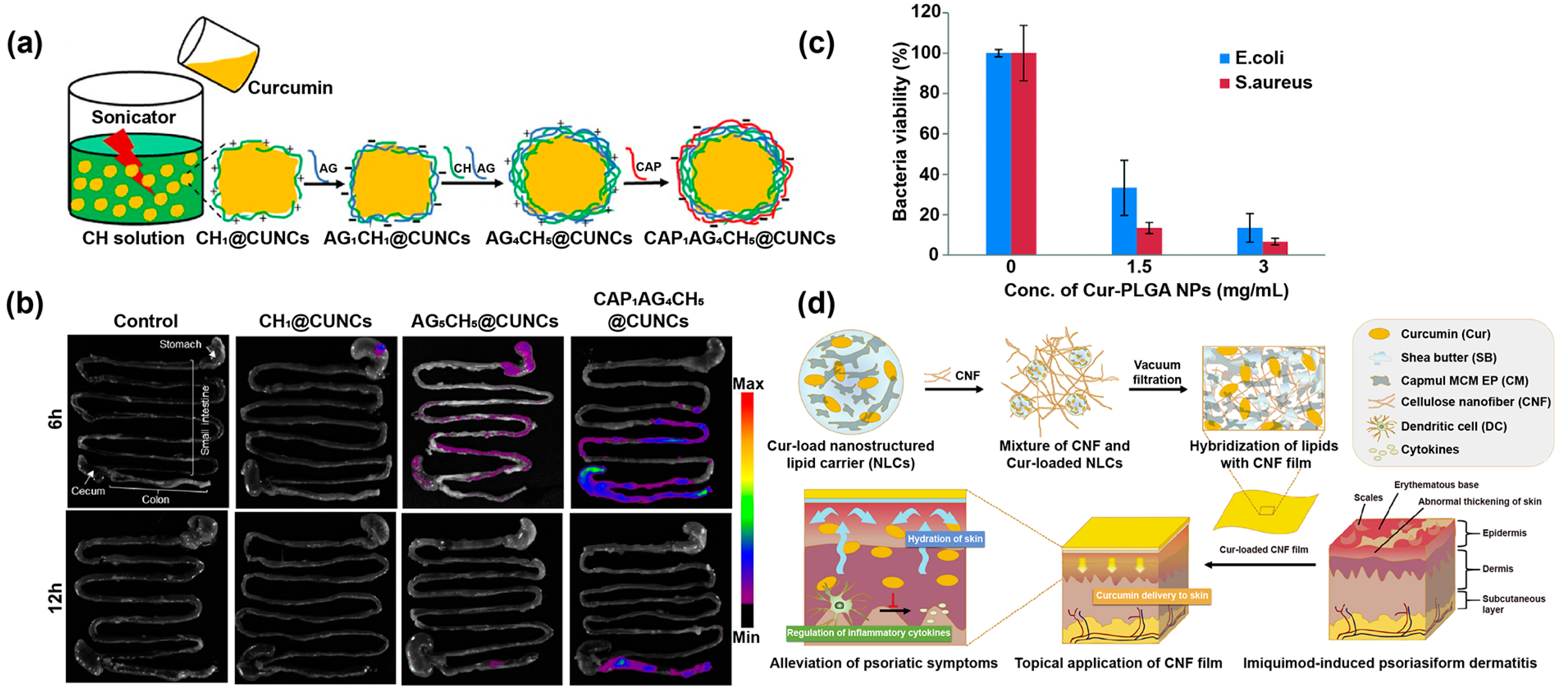 Pharmaceutics 14 02239 g007 Pharmaceutics 14 02239 g007