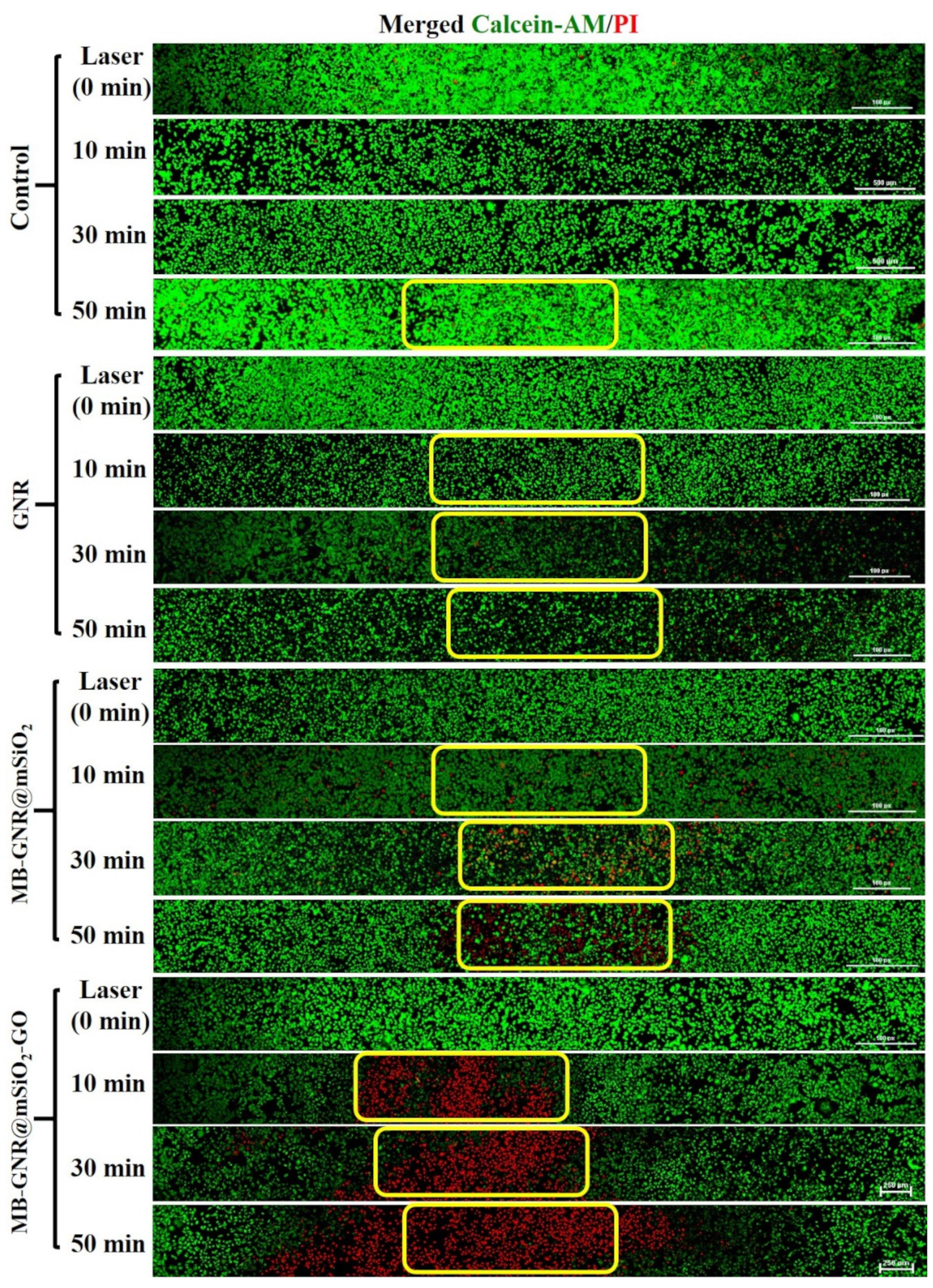 Pharmaceutics 14 02242 g006