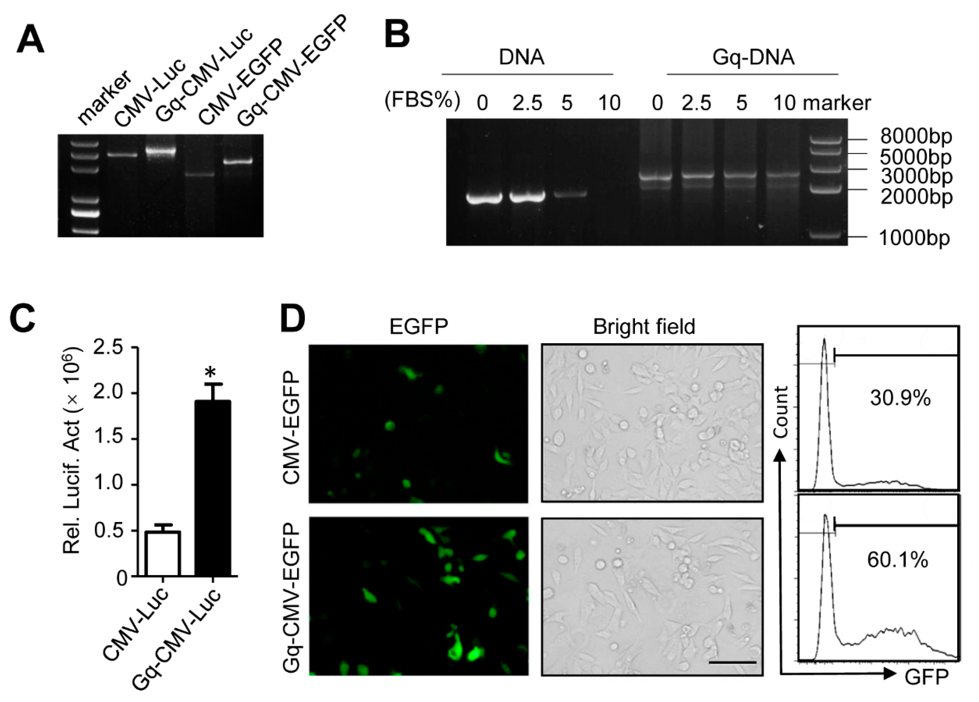 Pharmaceutics 14 02247 g002
