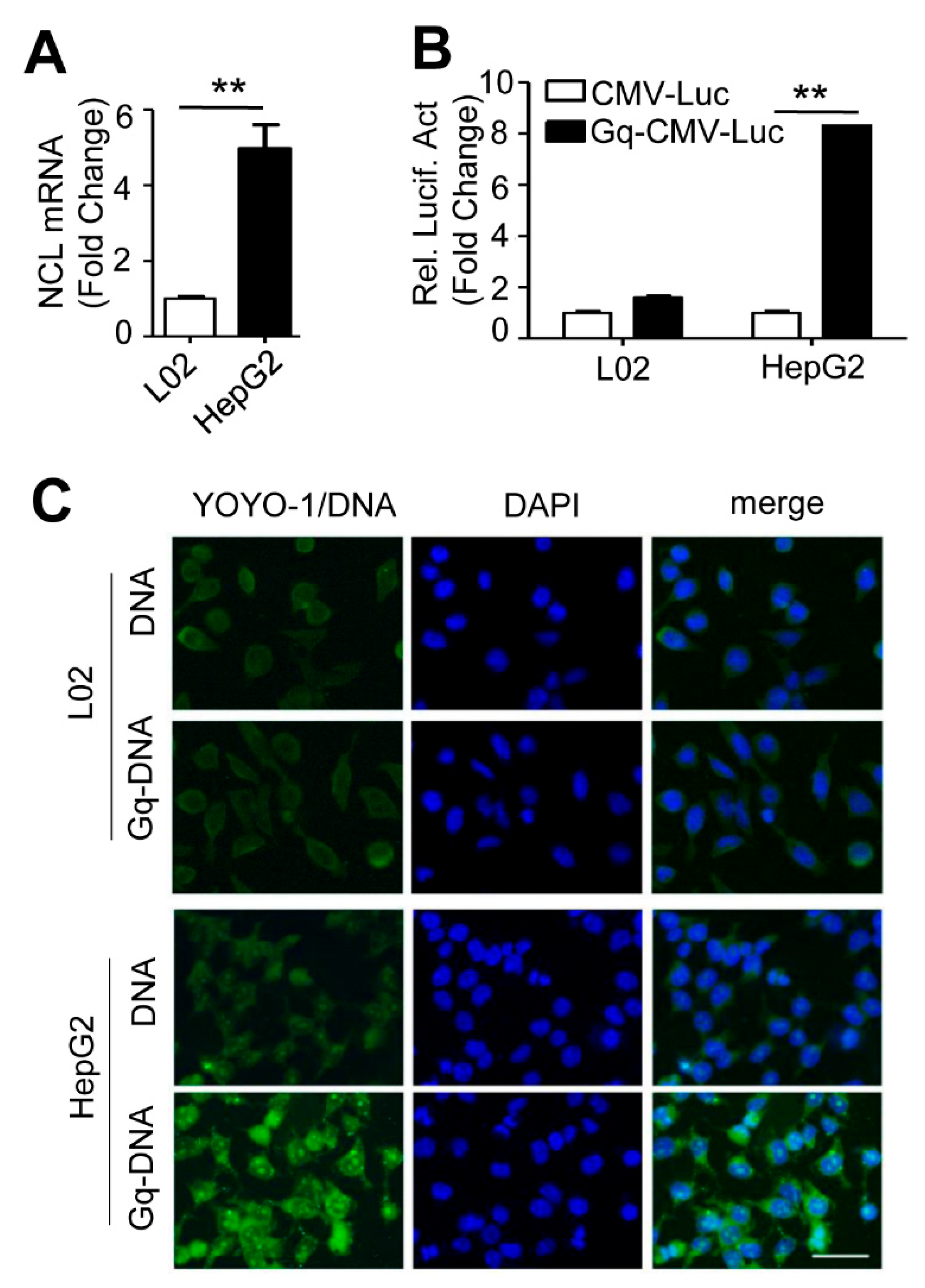 Pharmaceutics 14 02247 g004