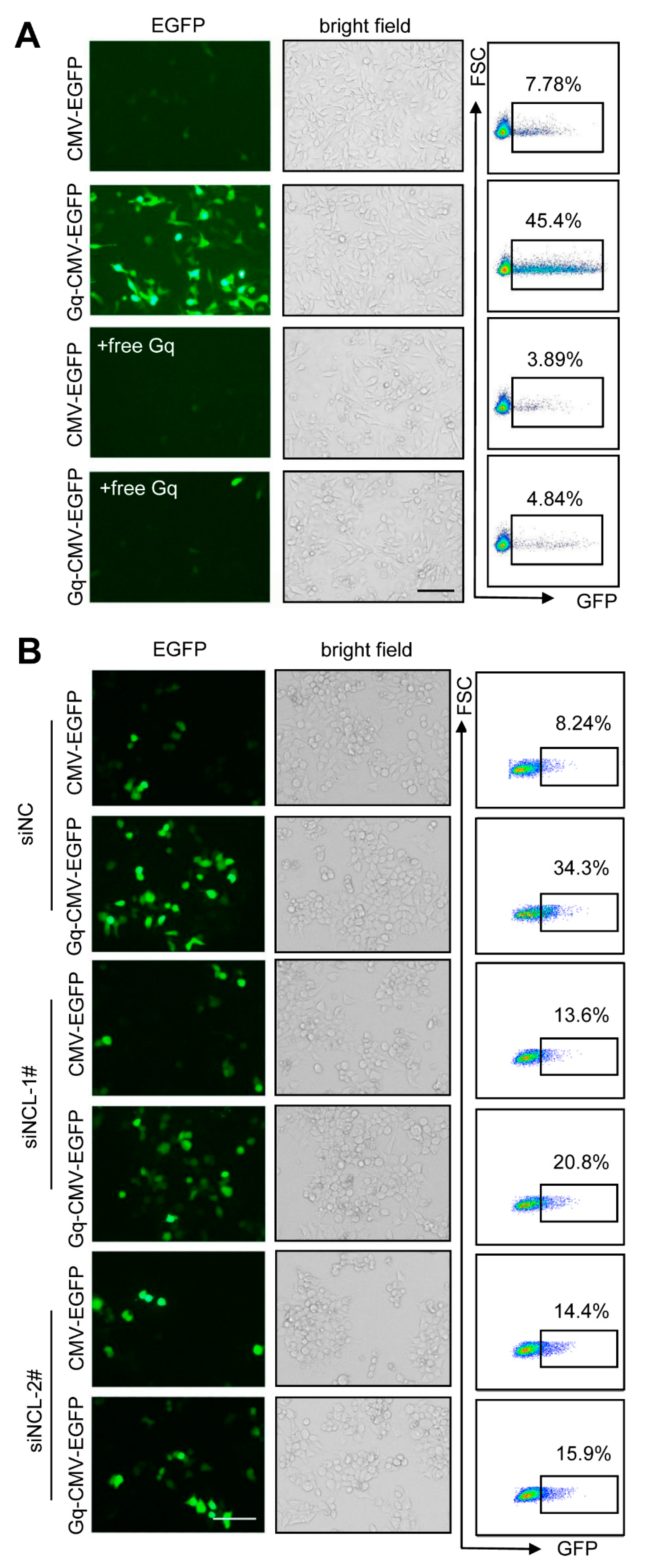 Pharmaceutics 14 02247 g006