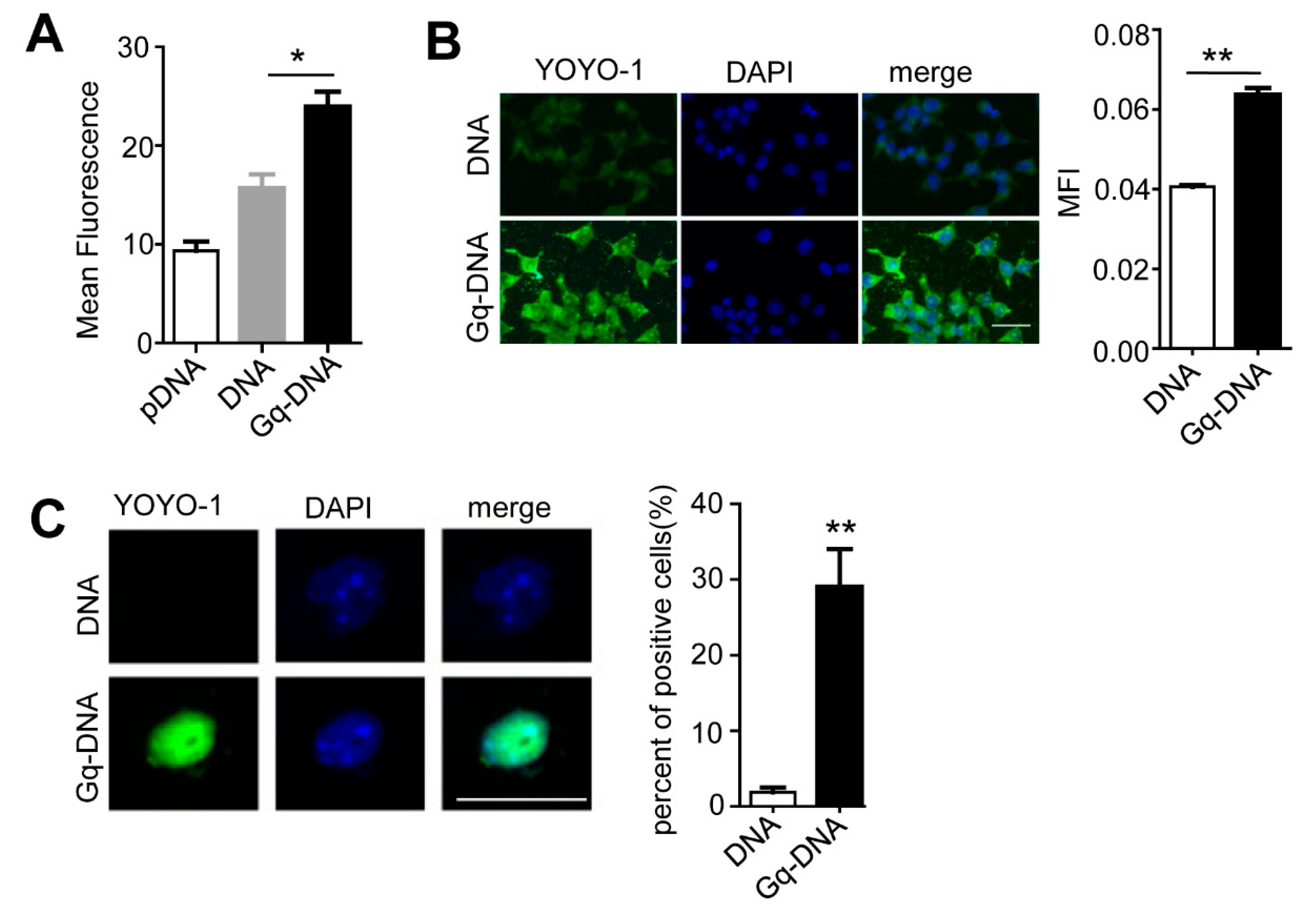 Pharmaceutics 14 02247 g007