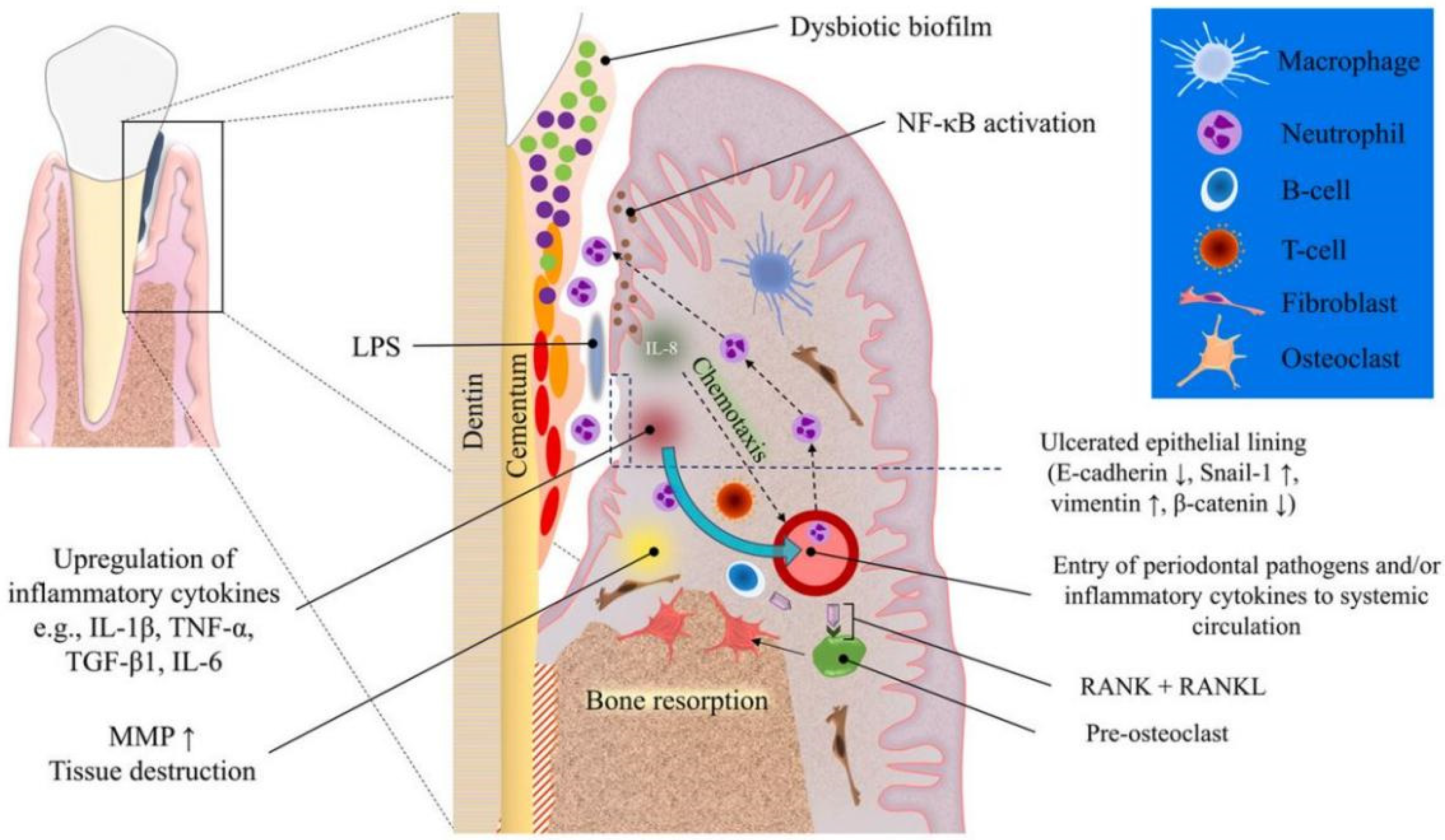 Pharmaceutics 14 02250 g001