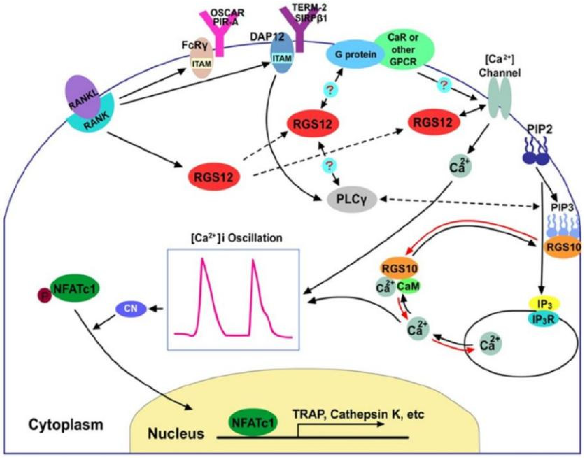 Pharmaceutics 14 02250 g002