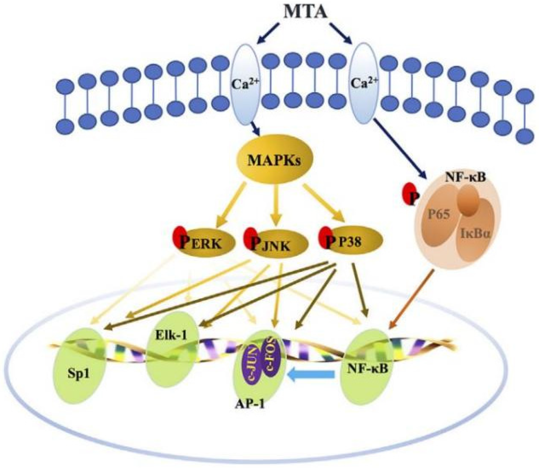 Pharmaceutics 14 02250 g003