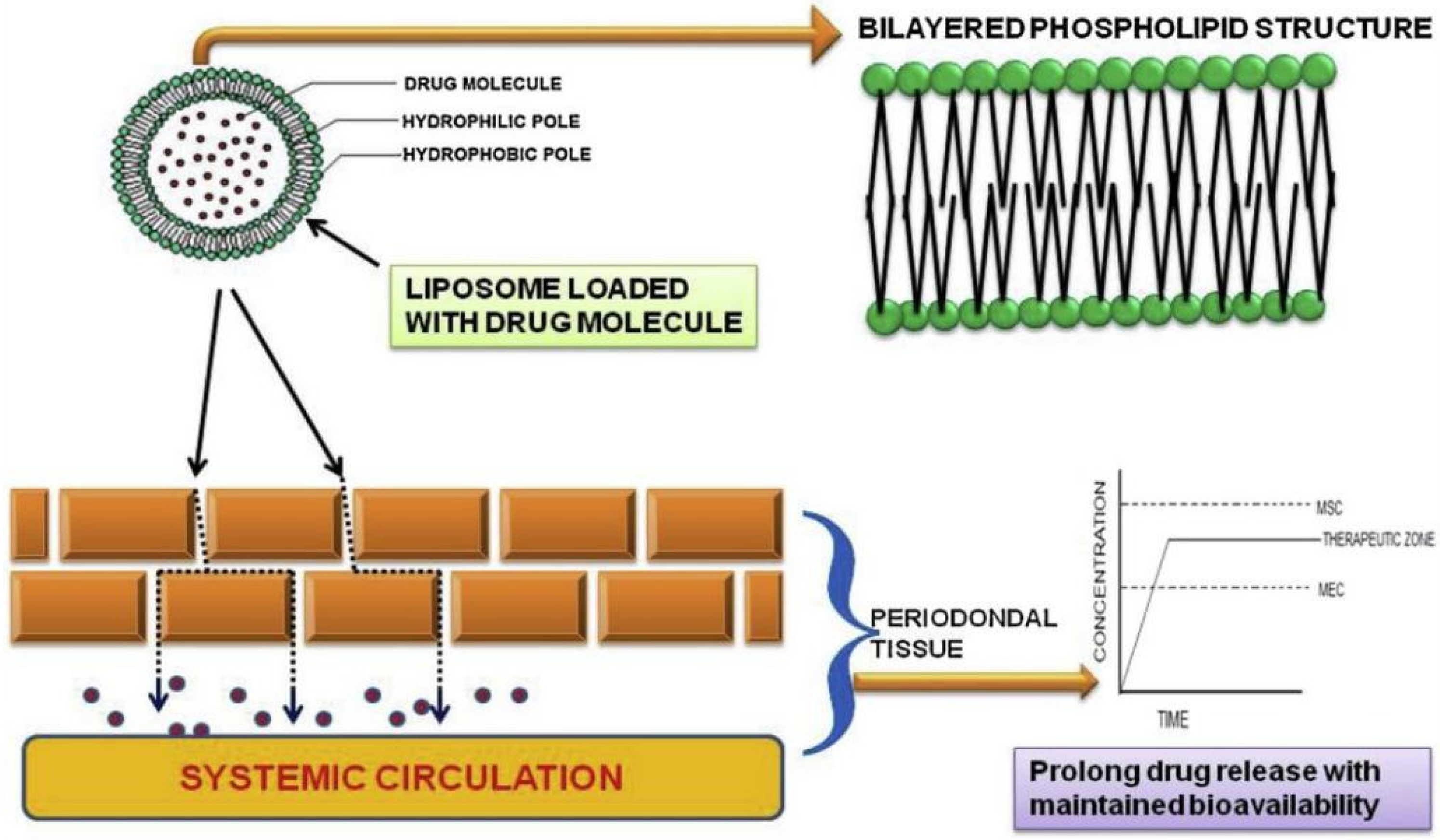 Pharmaceutics 14 02250 g005