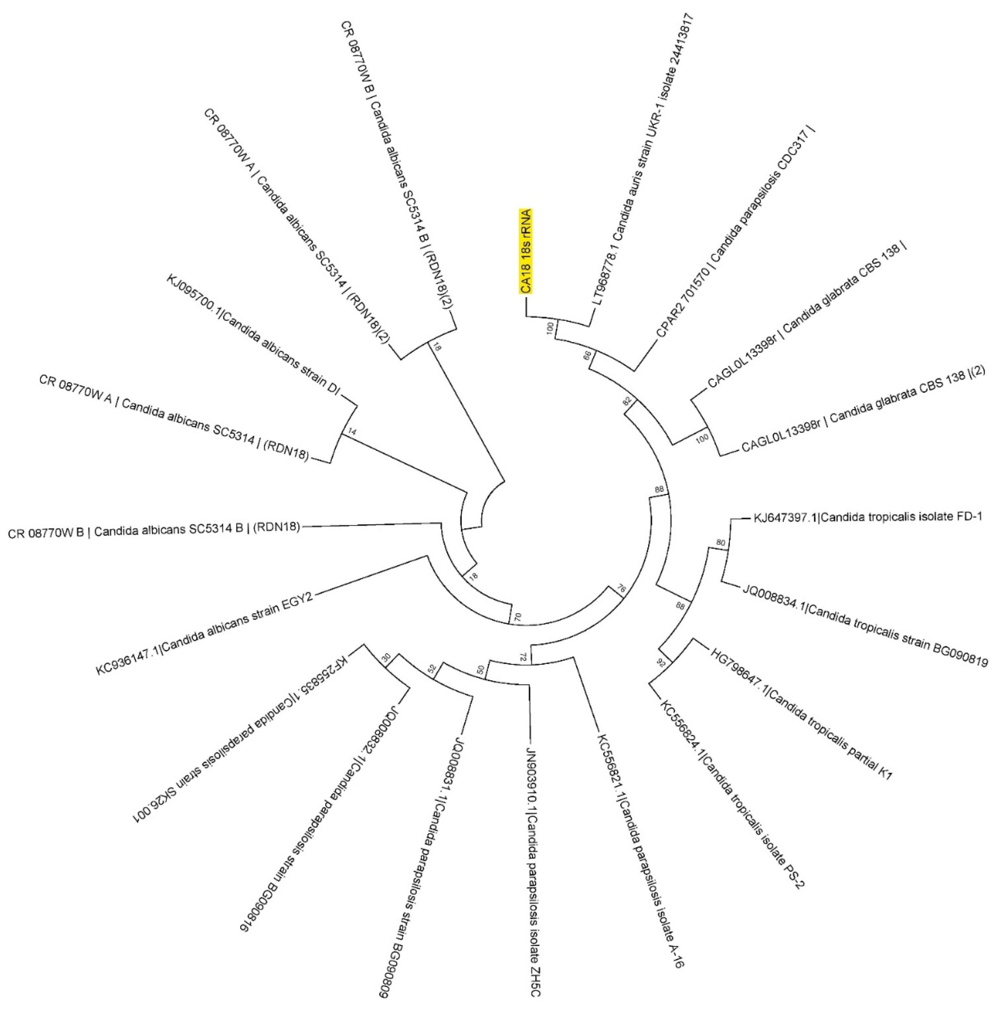 Pharmaceutics 14 02251 g001 Pharmaceutics 14 02251 g001