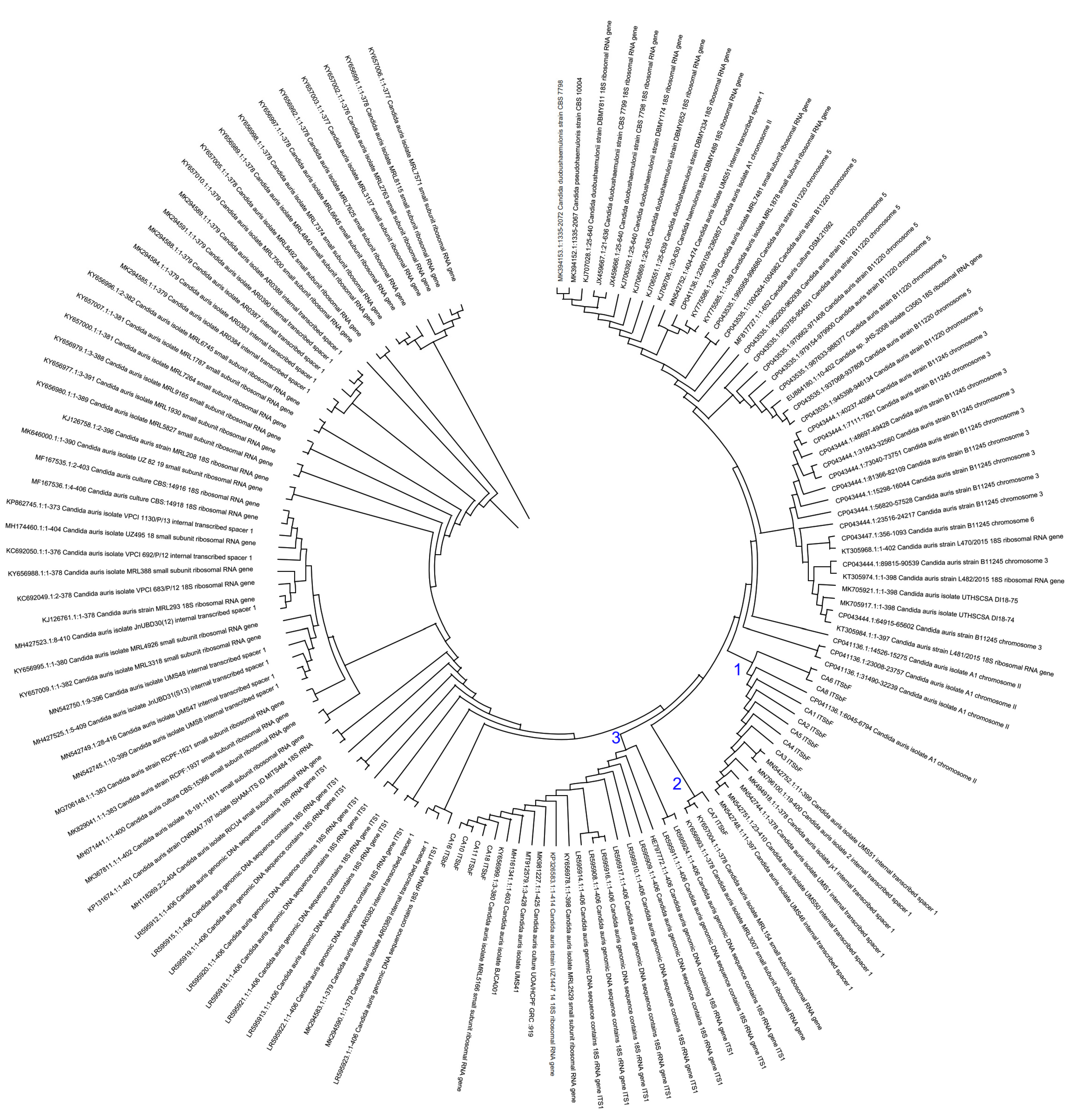 Pharmaceutics 14 02251 g002 Pharmaceutics 14 02251 g002