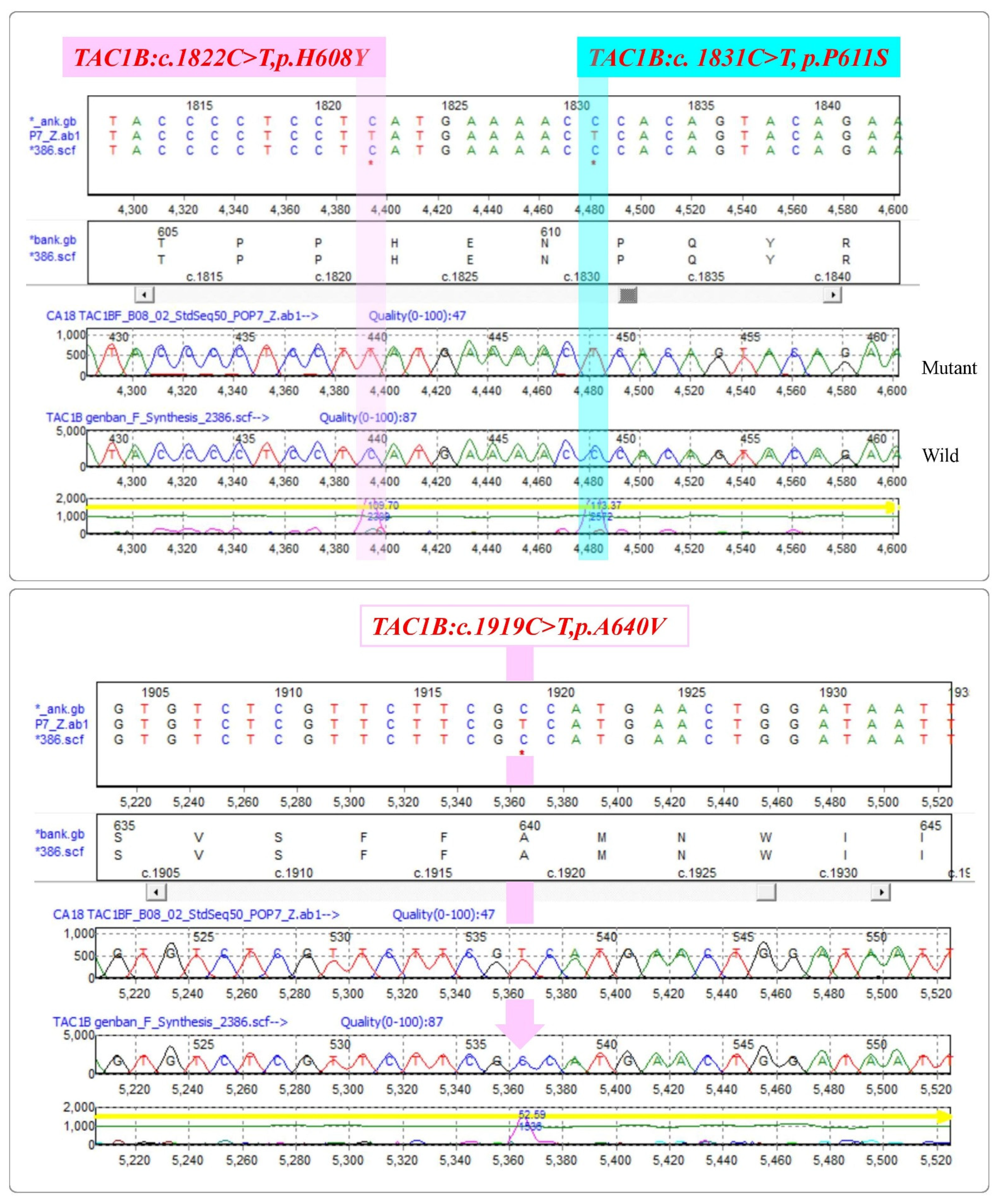 Pharmaceutics 14 02251 g004 Pharmaceutics 14 02251 g004