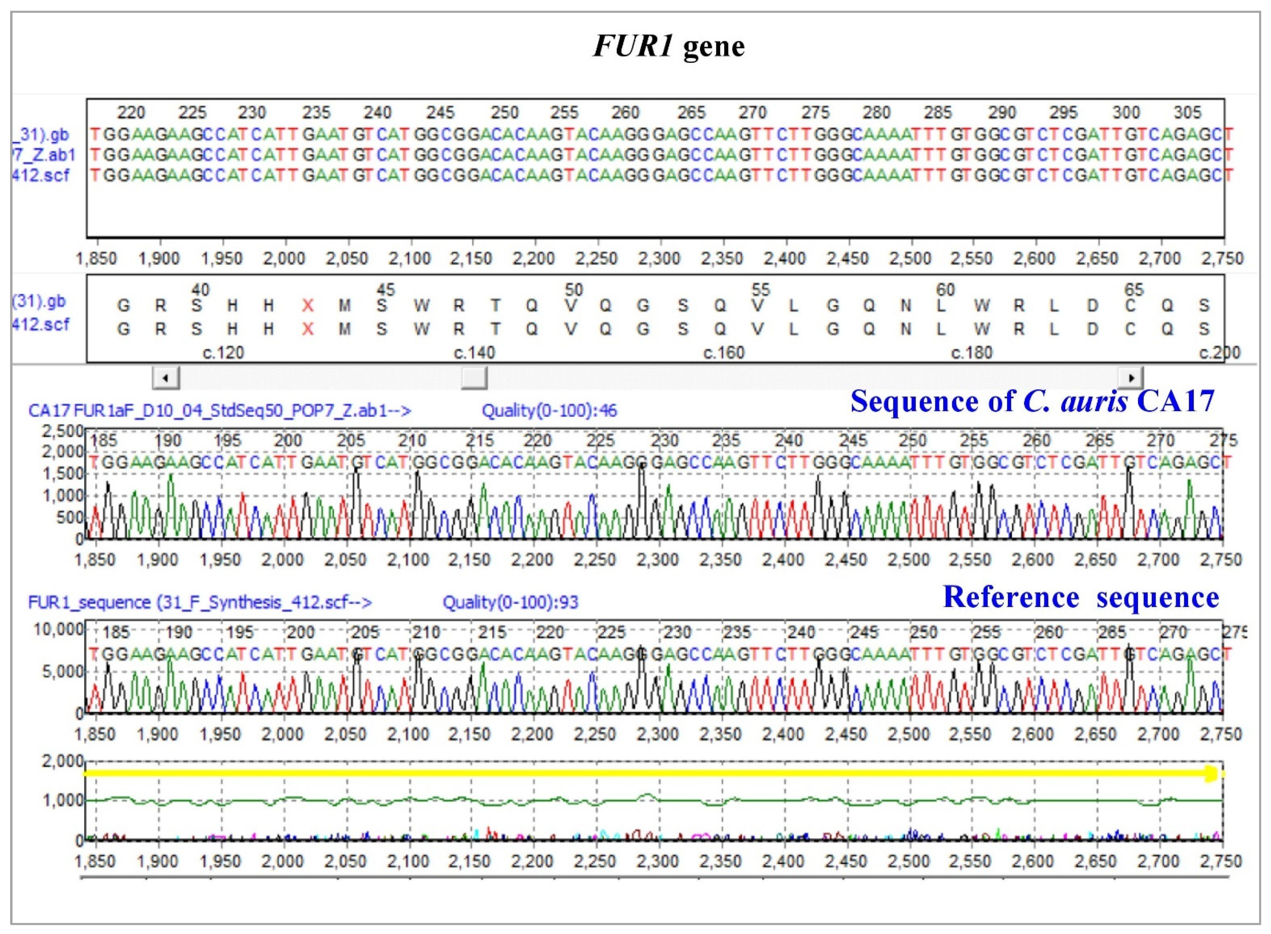 Pharmaceutics 14 02251 g005 Pharmaceutics 14 02251 g005