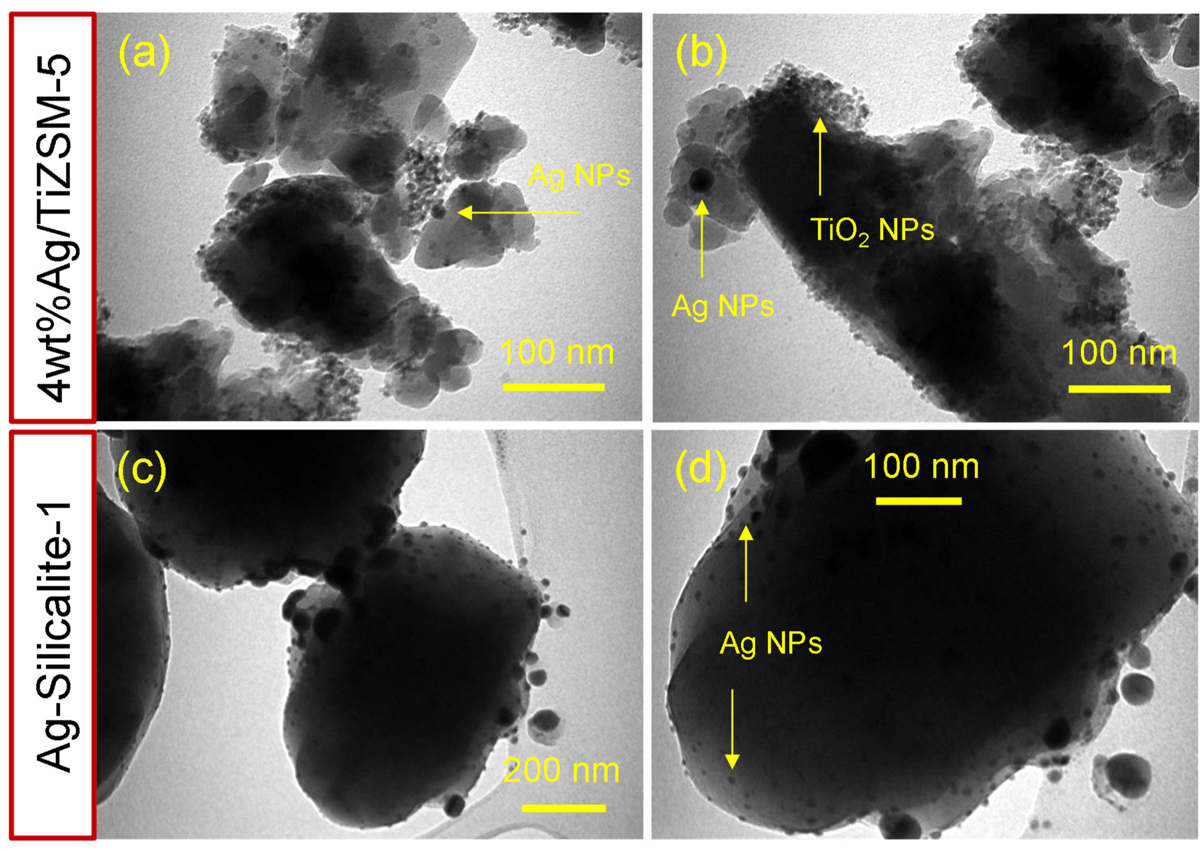 Pharmaceutics 14 02251 g008 Pharmaceutics 14 02251 g008