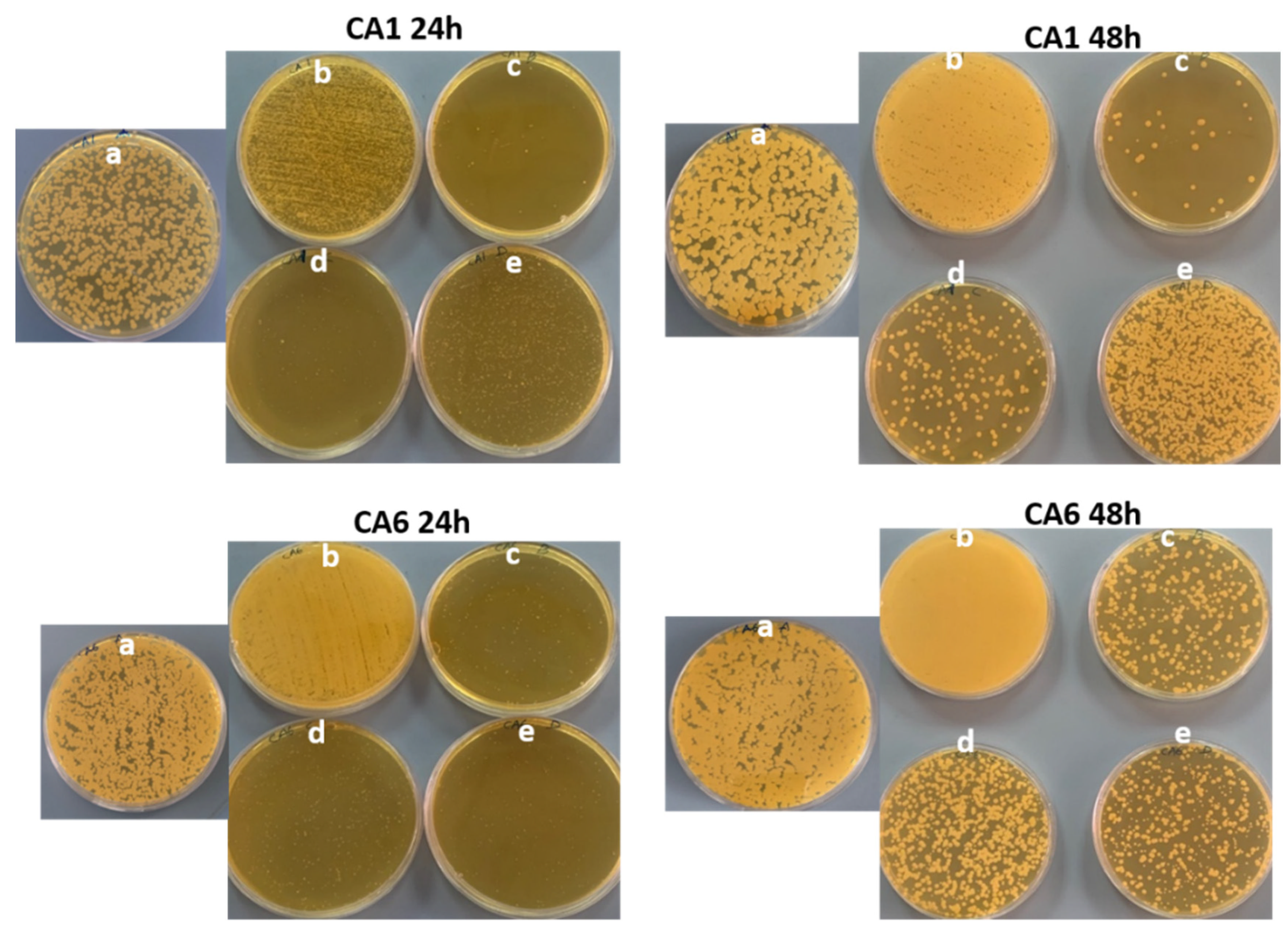 Pharmaceutics 14 02251 g010 Pharmaceutics 14 02251 g010