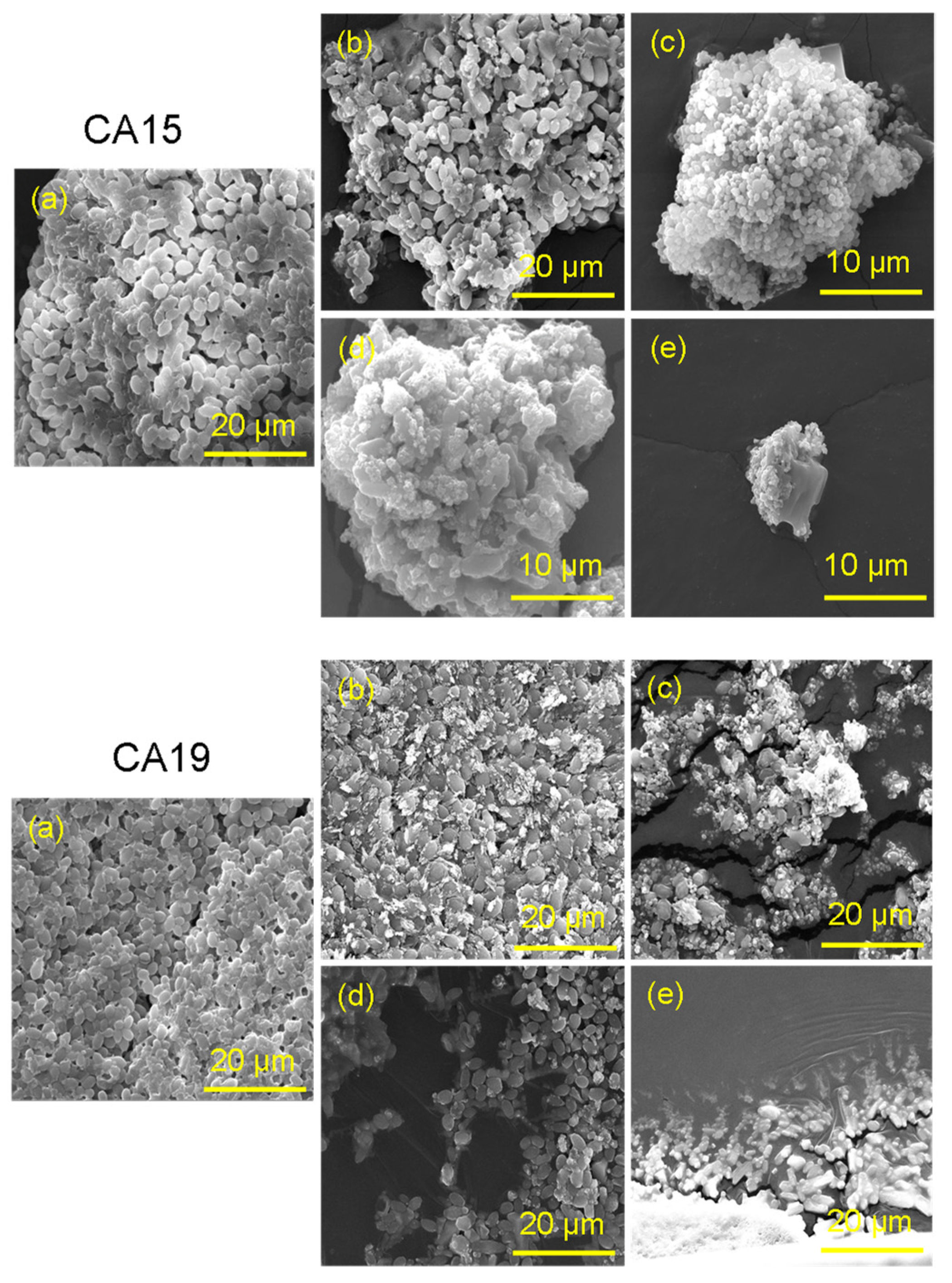 Pharmaceutics 14 02251 g011 Pharmaceutics 14 02251 g011
