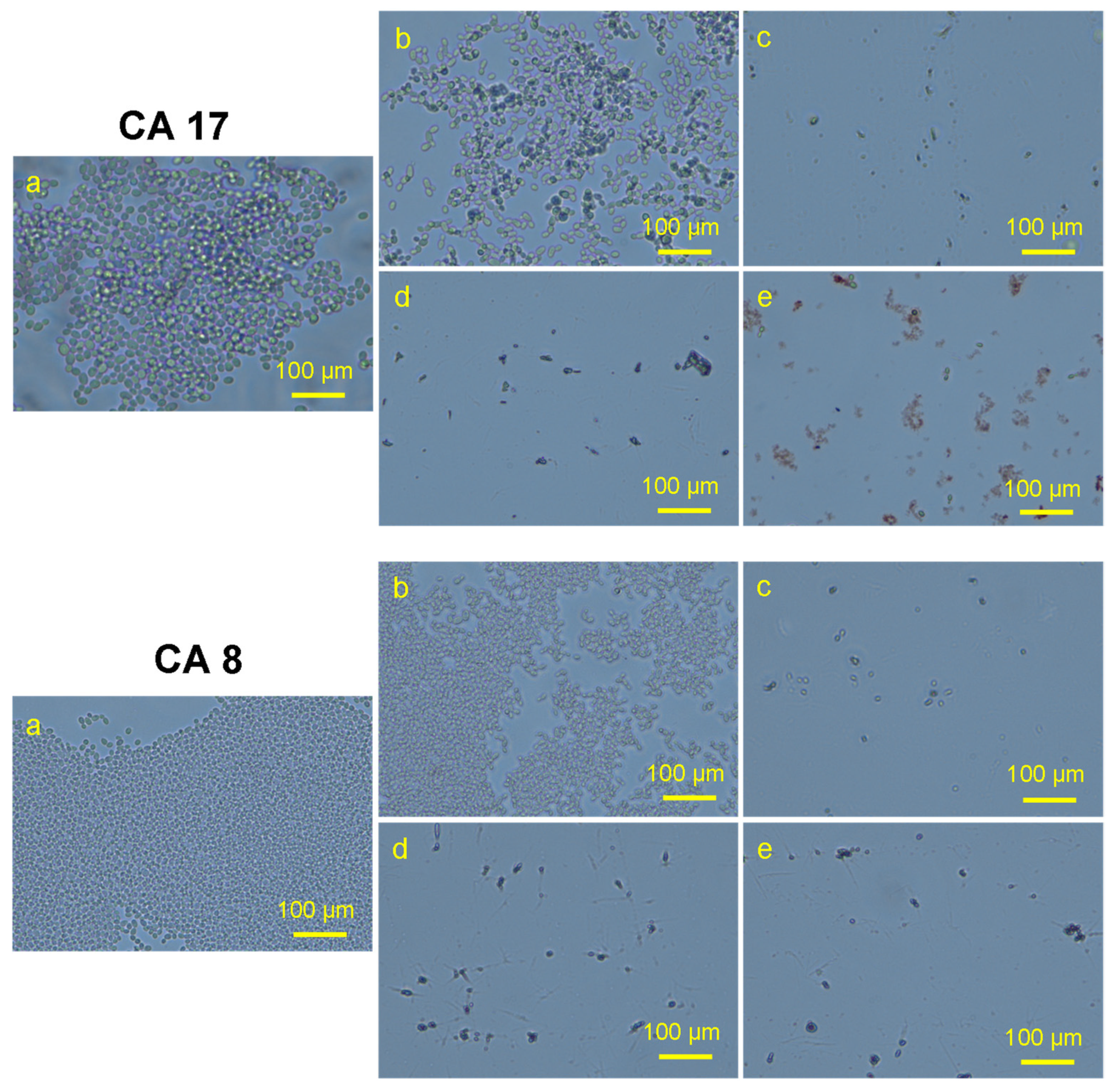 Pharmaceutics 14 02251 g012 Pharmaceutics 14 02251 g012