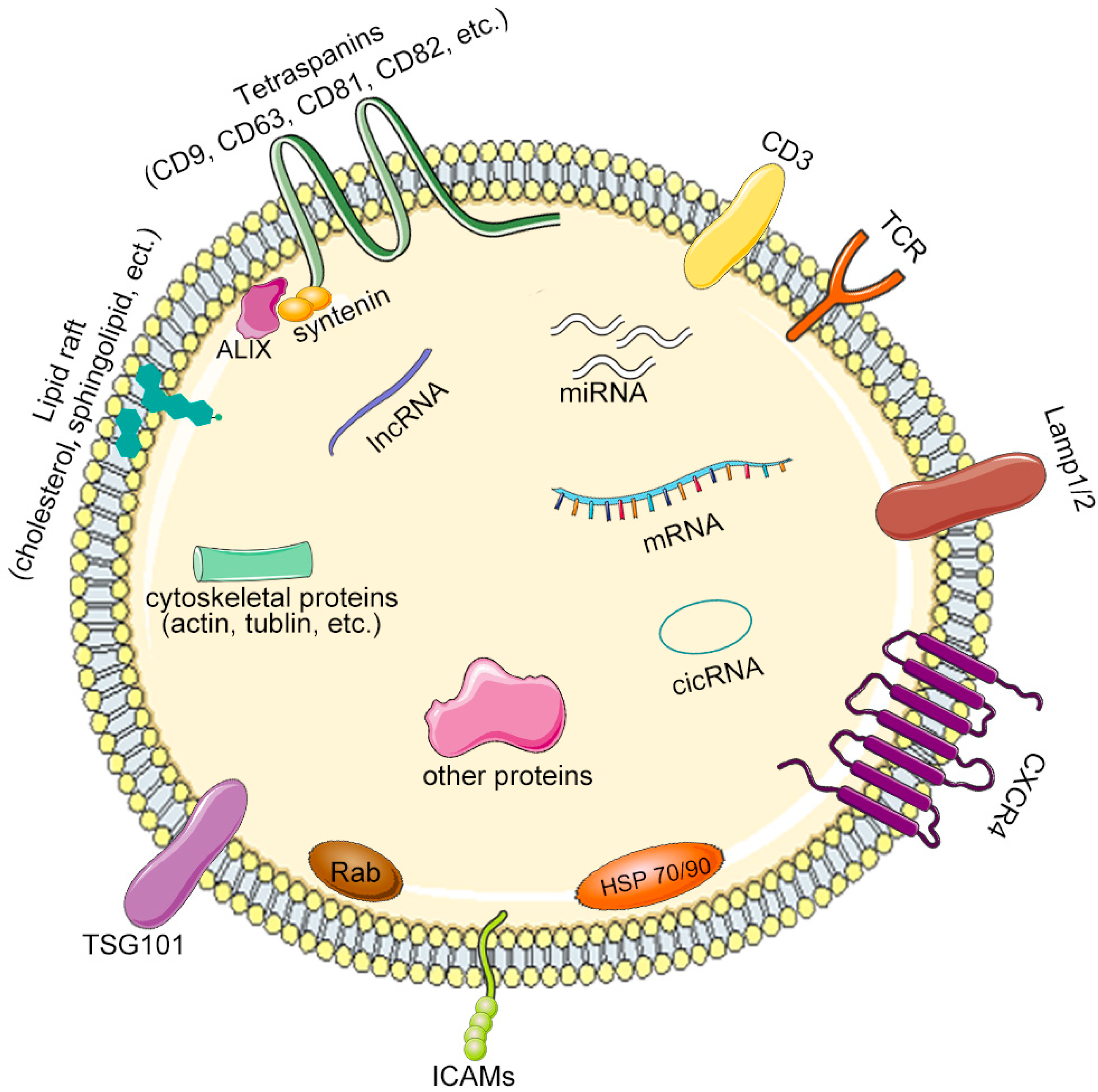 Pharmaceutics 14 02252 g002 Pharmaceutics 14 02252 g002