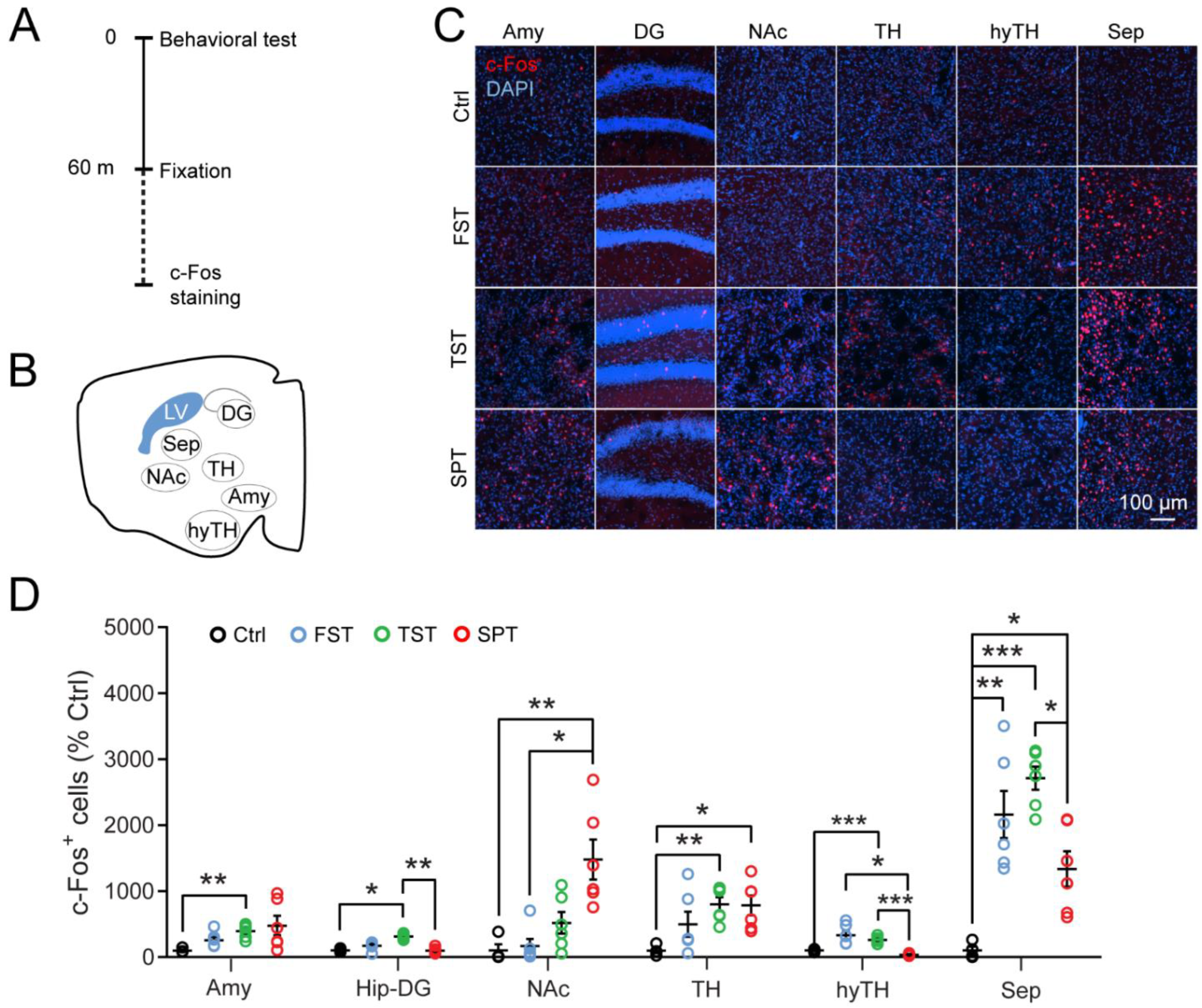 Pharmaceutics 14 02253 g001