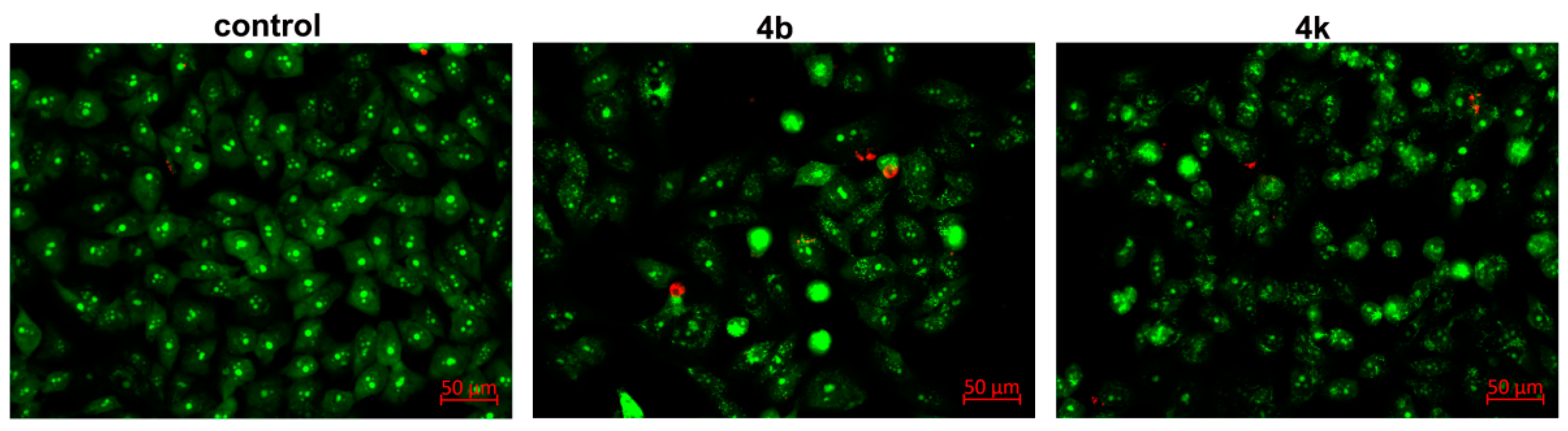 Pharmaceutics 14 02254 g005 Pharmaceutics 14 02254 g005