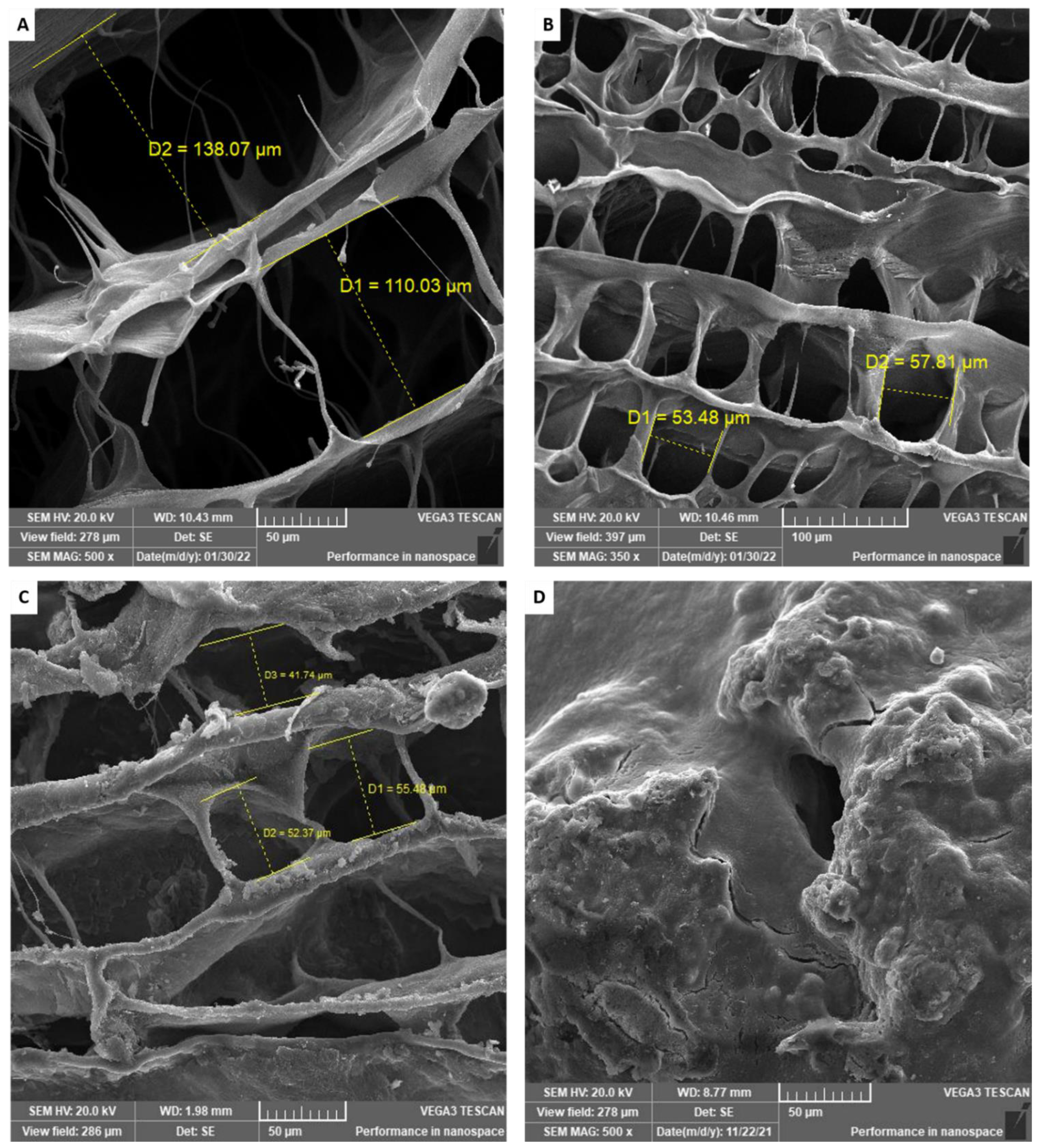 Pharmaceutics 14 02255 g003