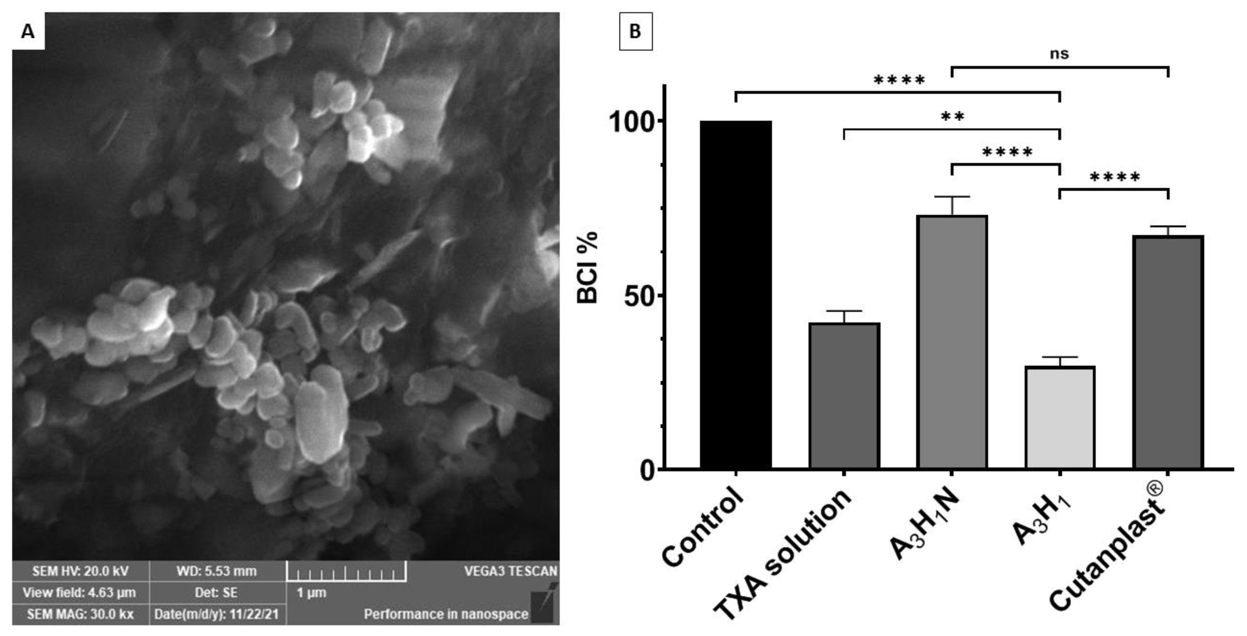 Pharmaceutics 14 02255 g006