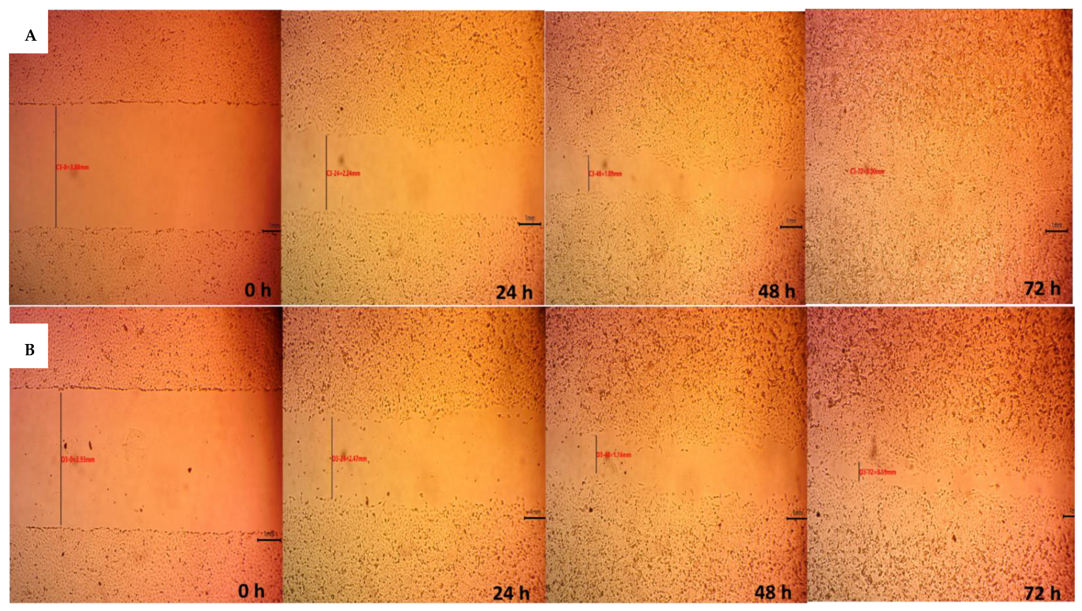 Pharmaceutics 14 02255 g009