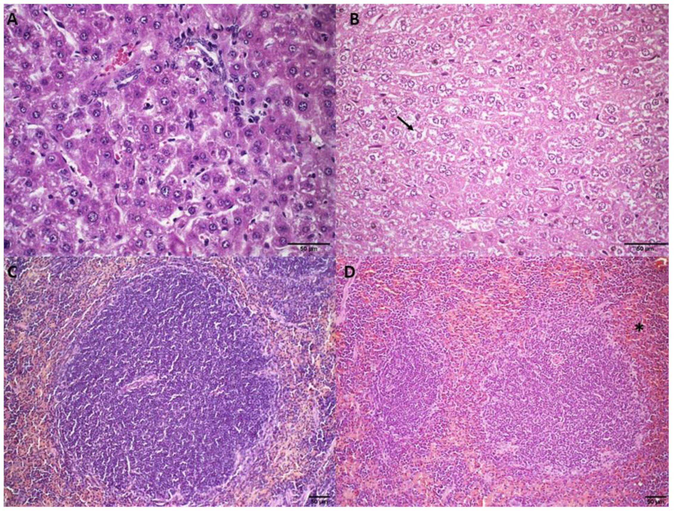 Pharmaceutics 14 02256 g001