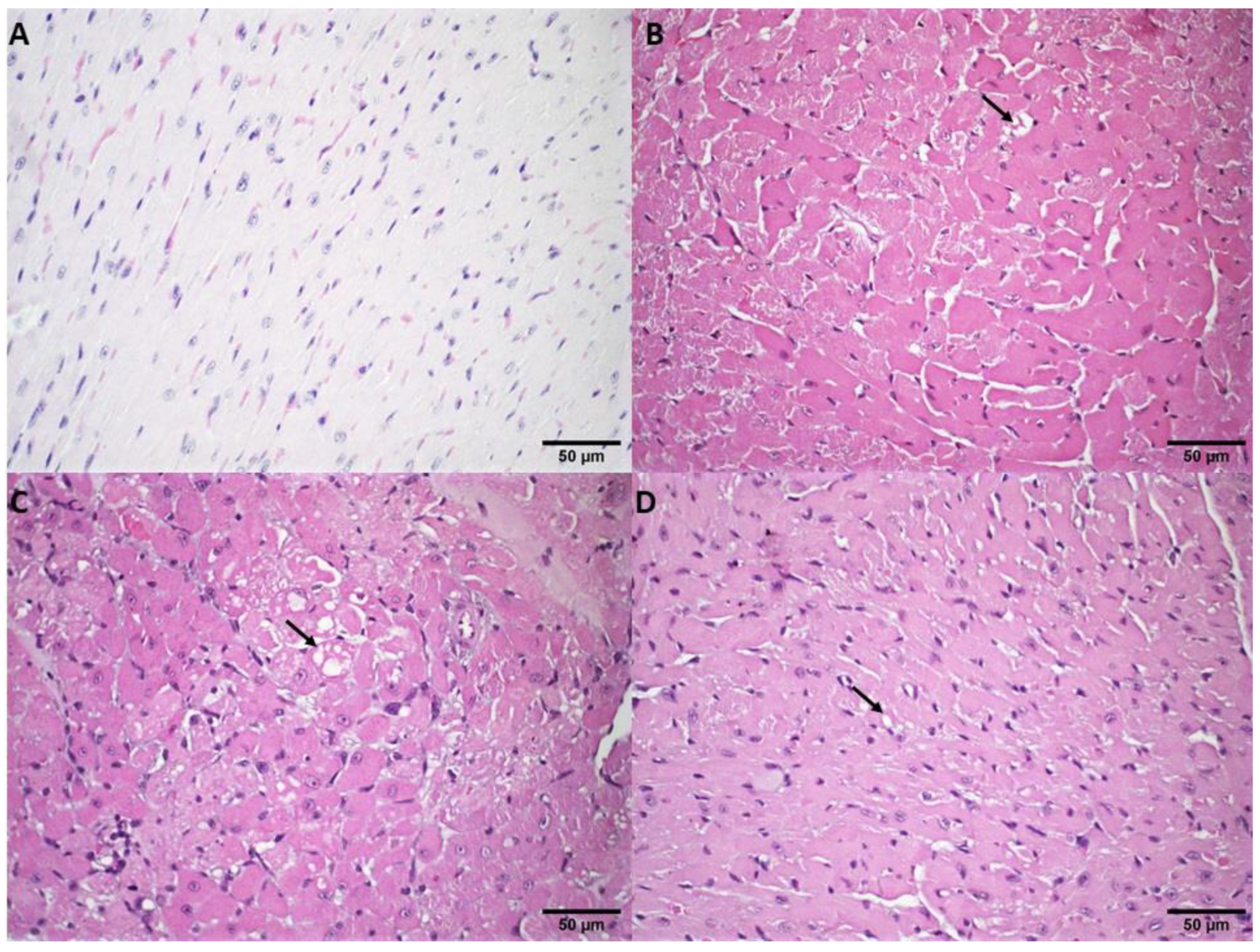 Pharmaceutics 14 02256 g003