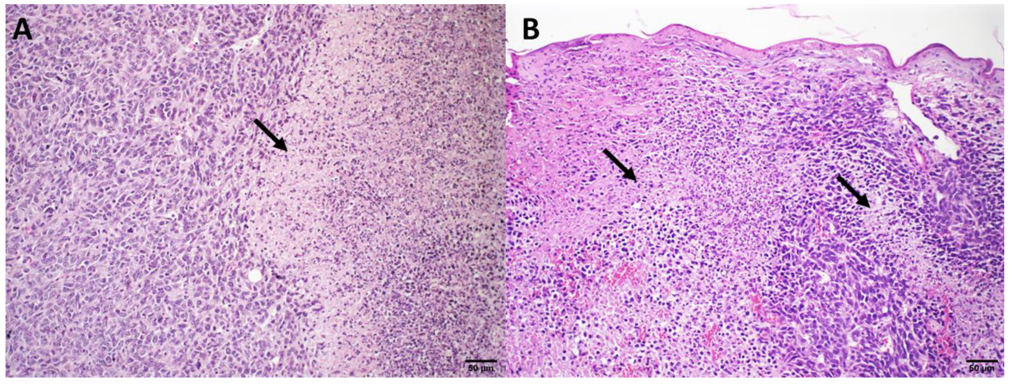 Pharmaceutics 14 02256 g005