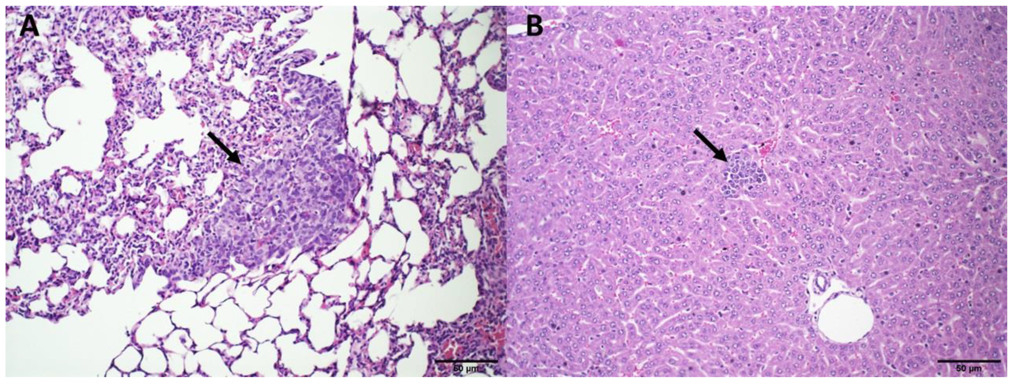 Pharmaceutics 14 02256 g006