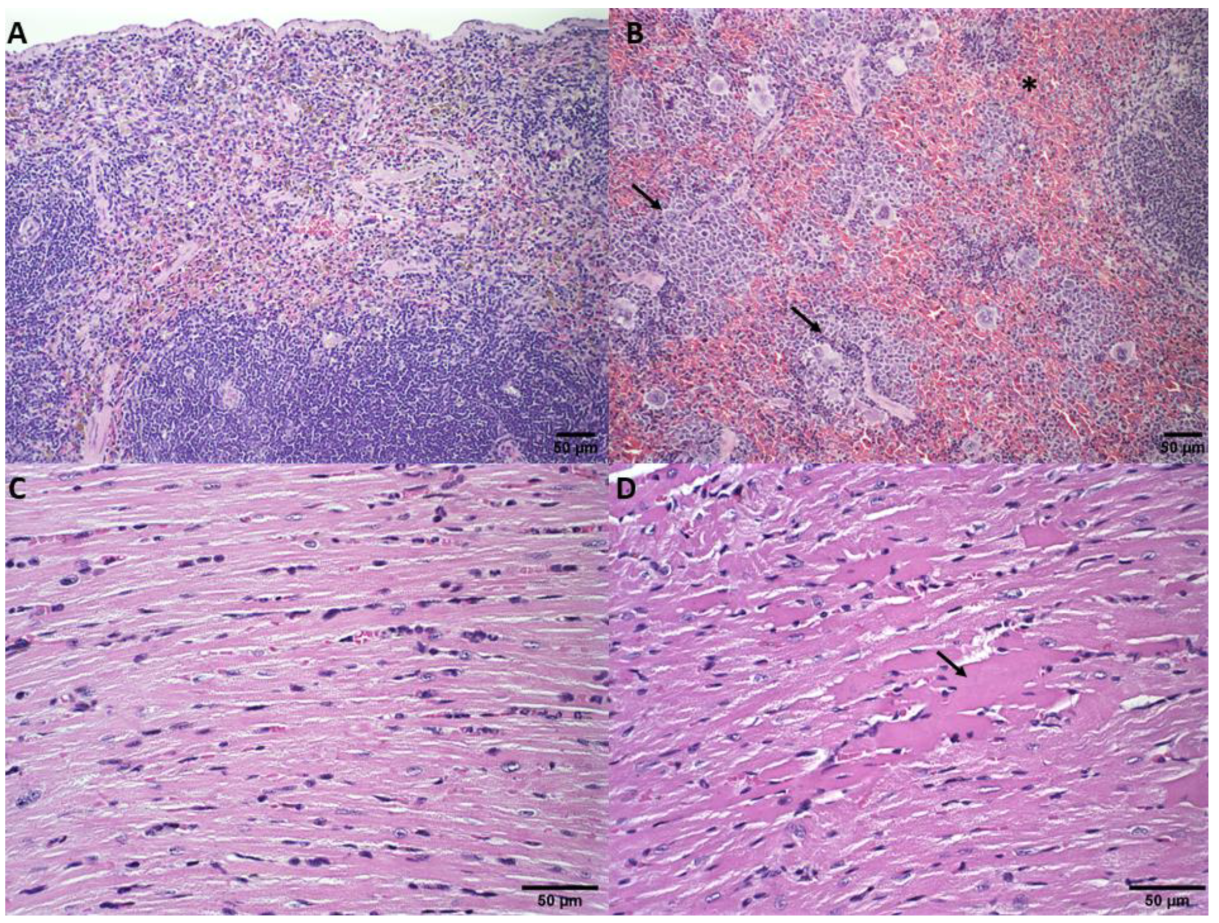 Pharmaceutics 14 02256 g007