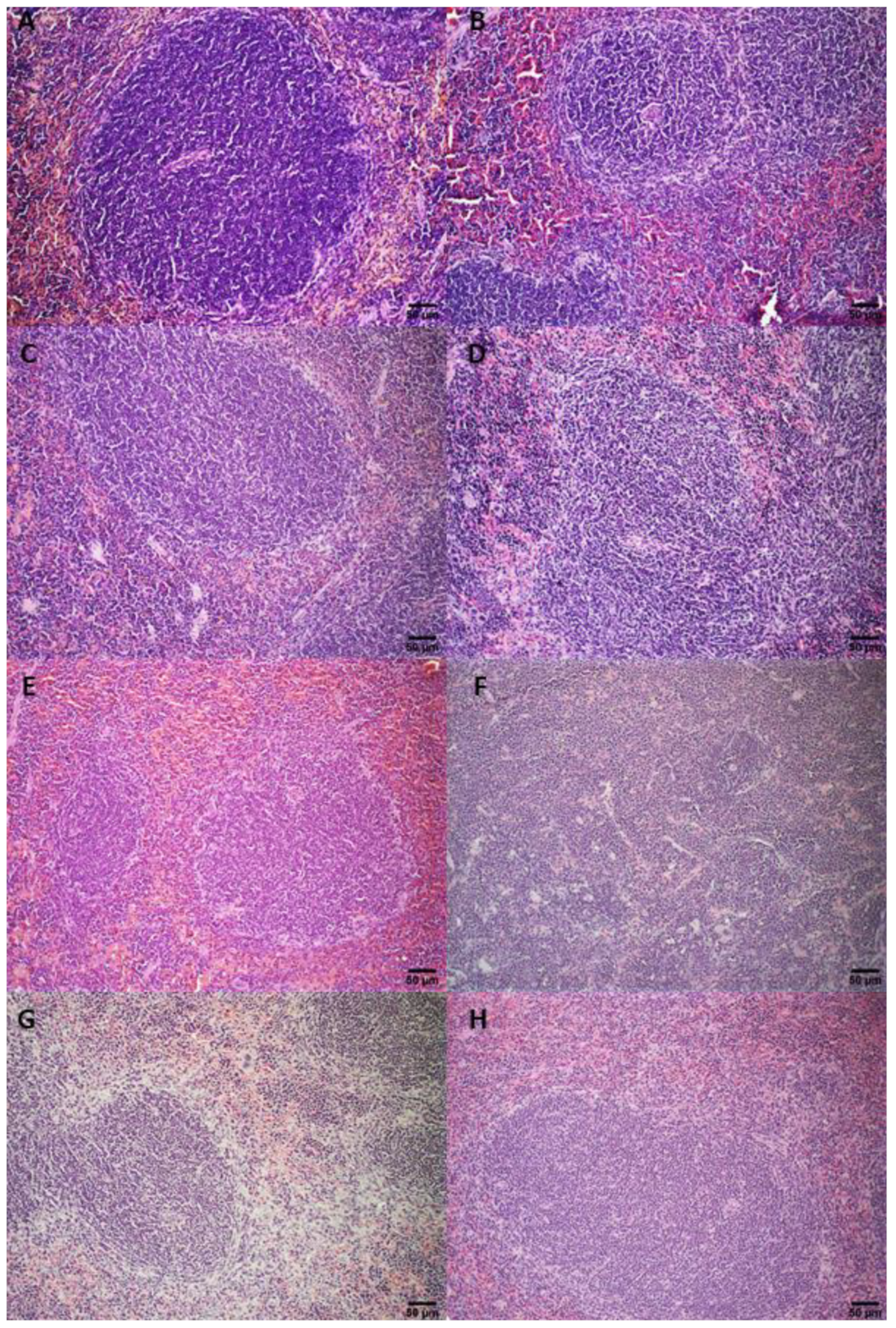 Pharmaceutics 14 02256 g0a4