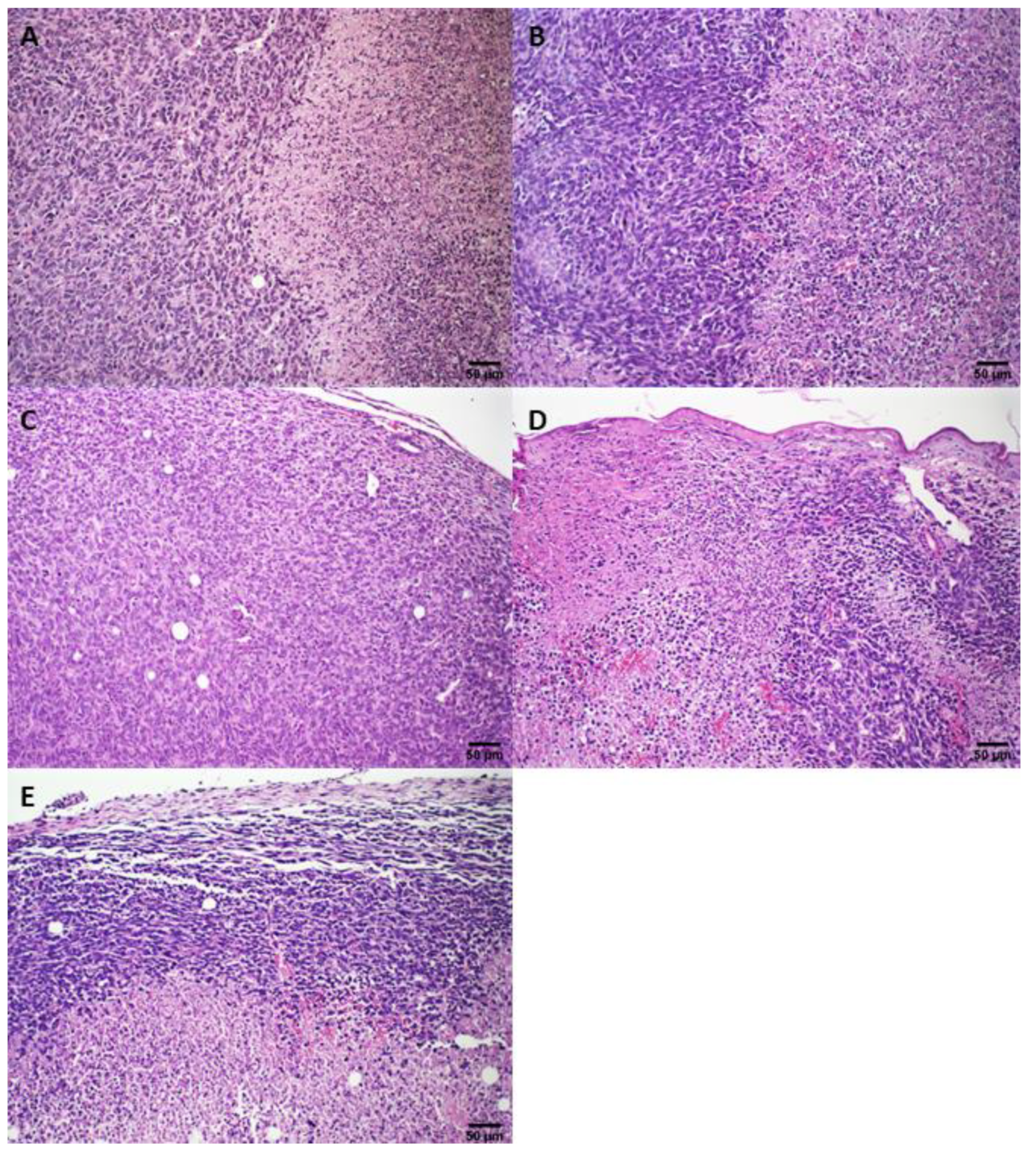 Pharmaceutics 14 02256 g0a7