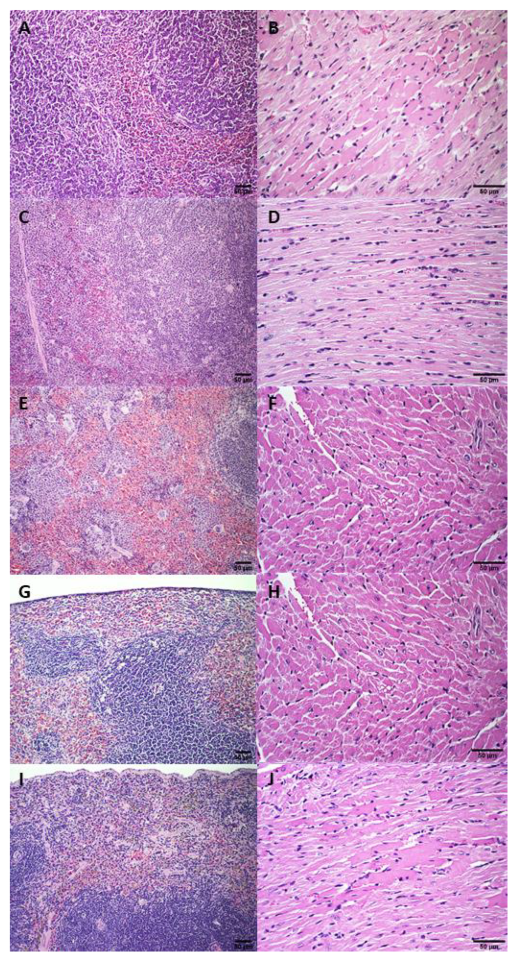 Pharmaceutics 14 02256 g0a9