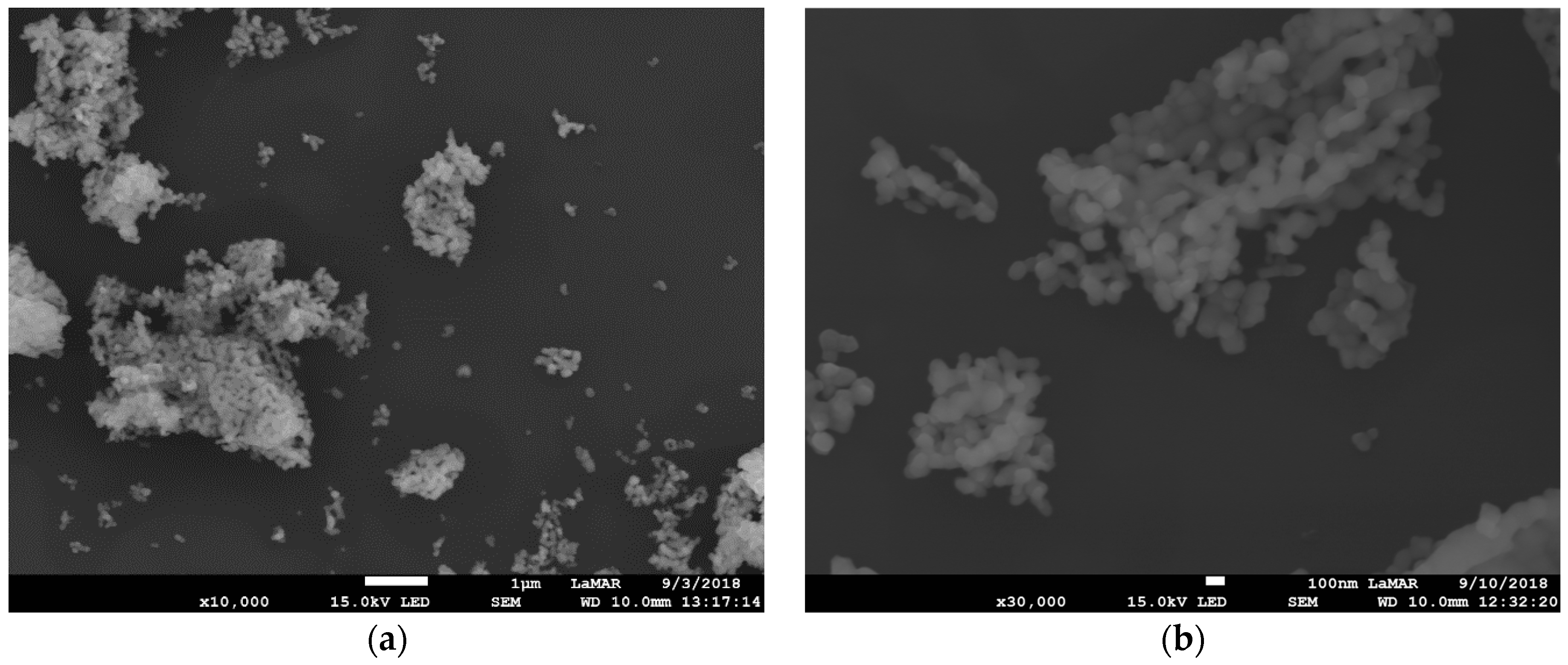 Pharmaceutics 14 02258 g005 Pharmaceutics 14 02258 g005