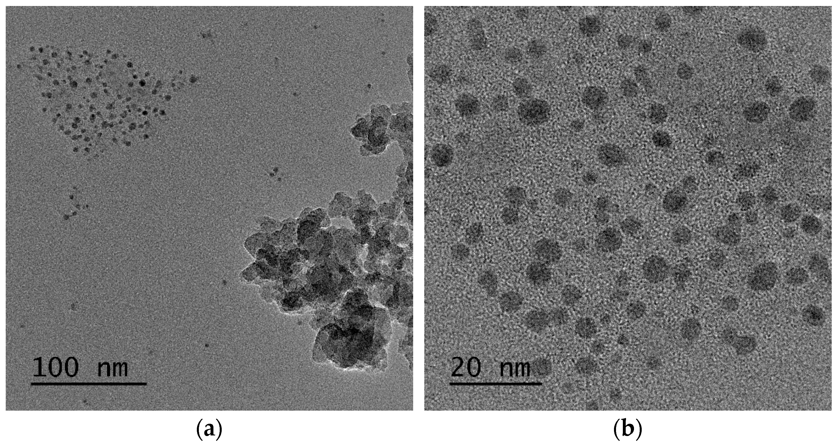 Pharmaceutics 14 02258 g010a Pharmaceutics 14 02258 g010a