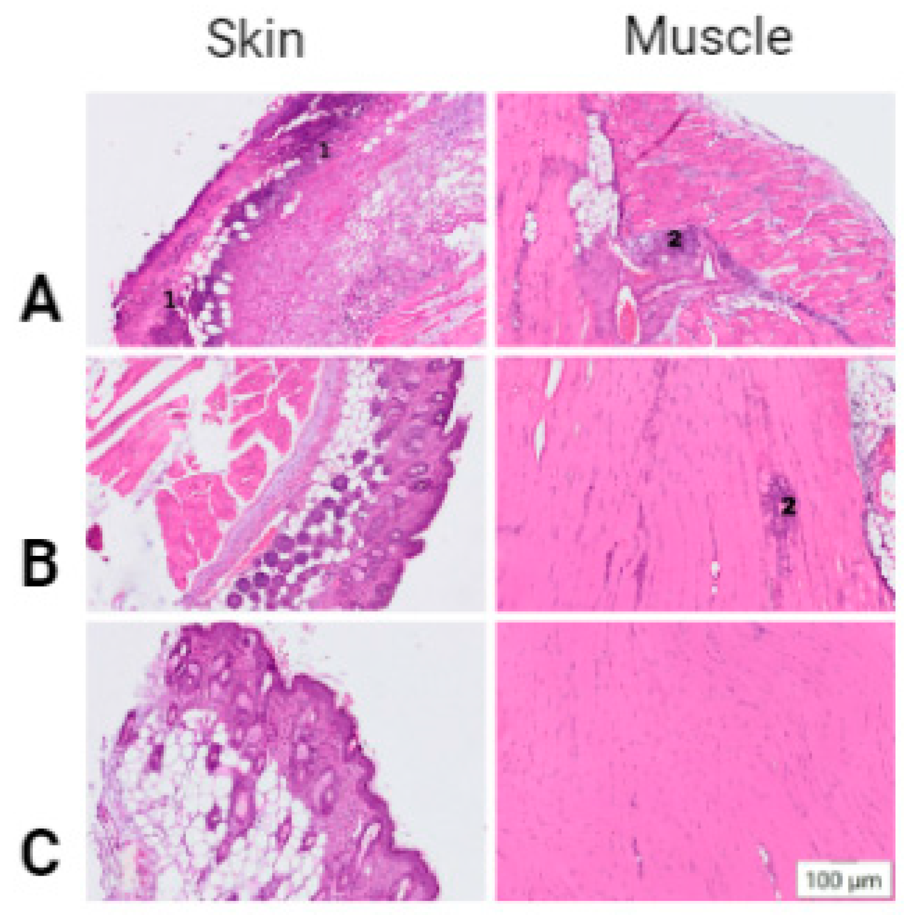 Pharmaceutics 14 02259 g002