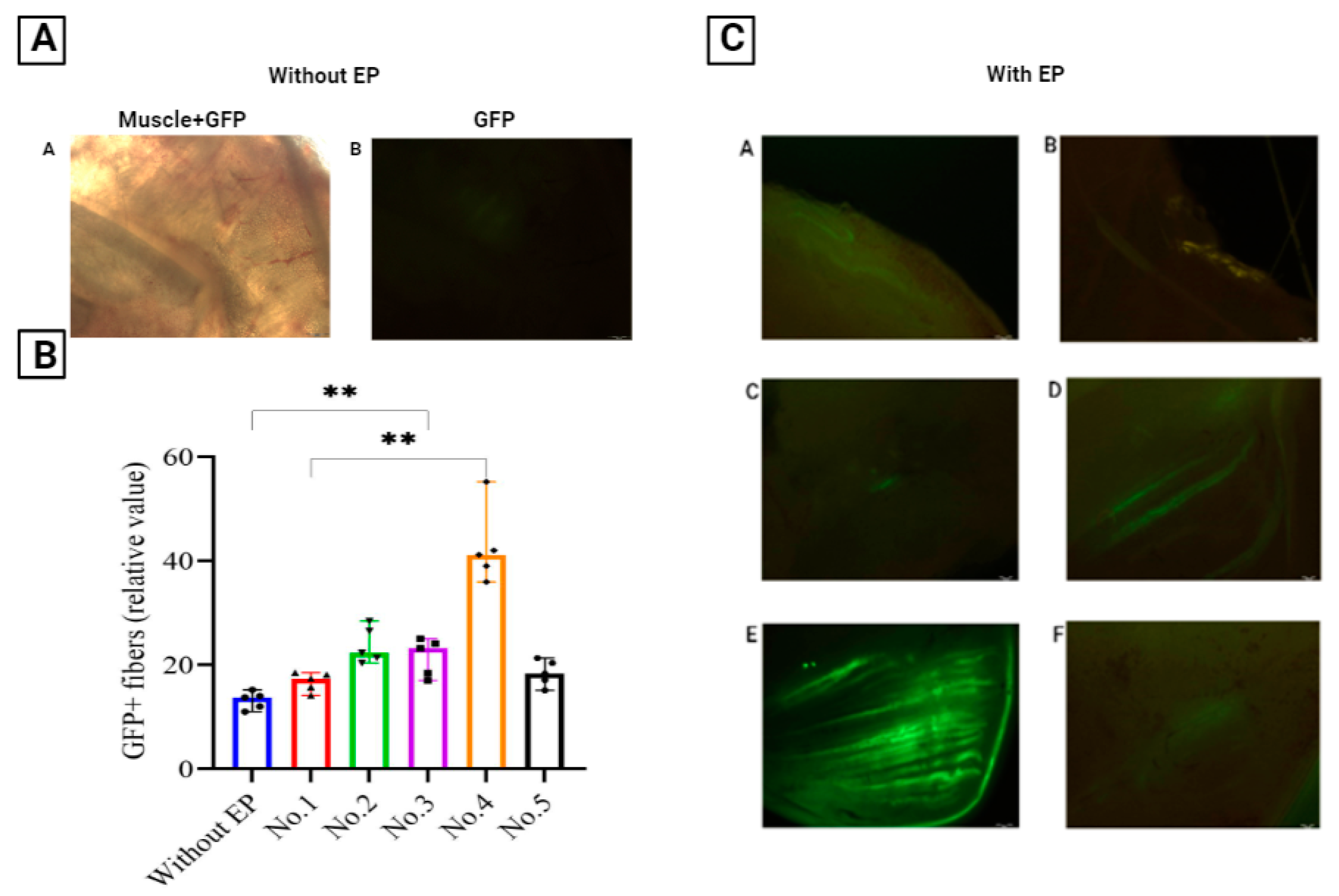 Pharmaceutics 14 02259 g003