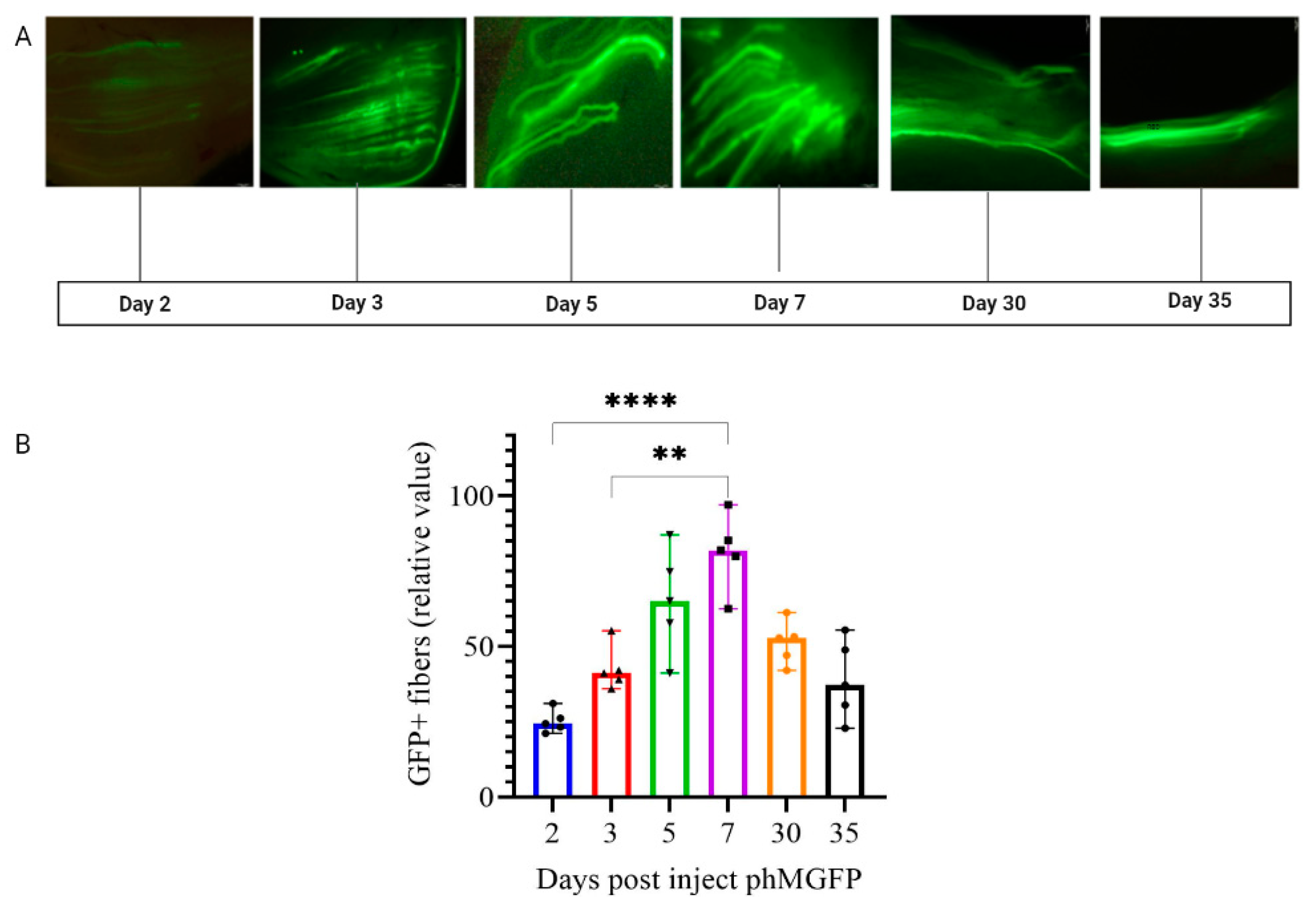 Pharmaceutics 14 02259 g004