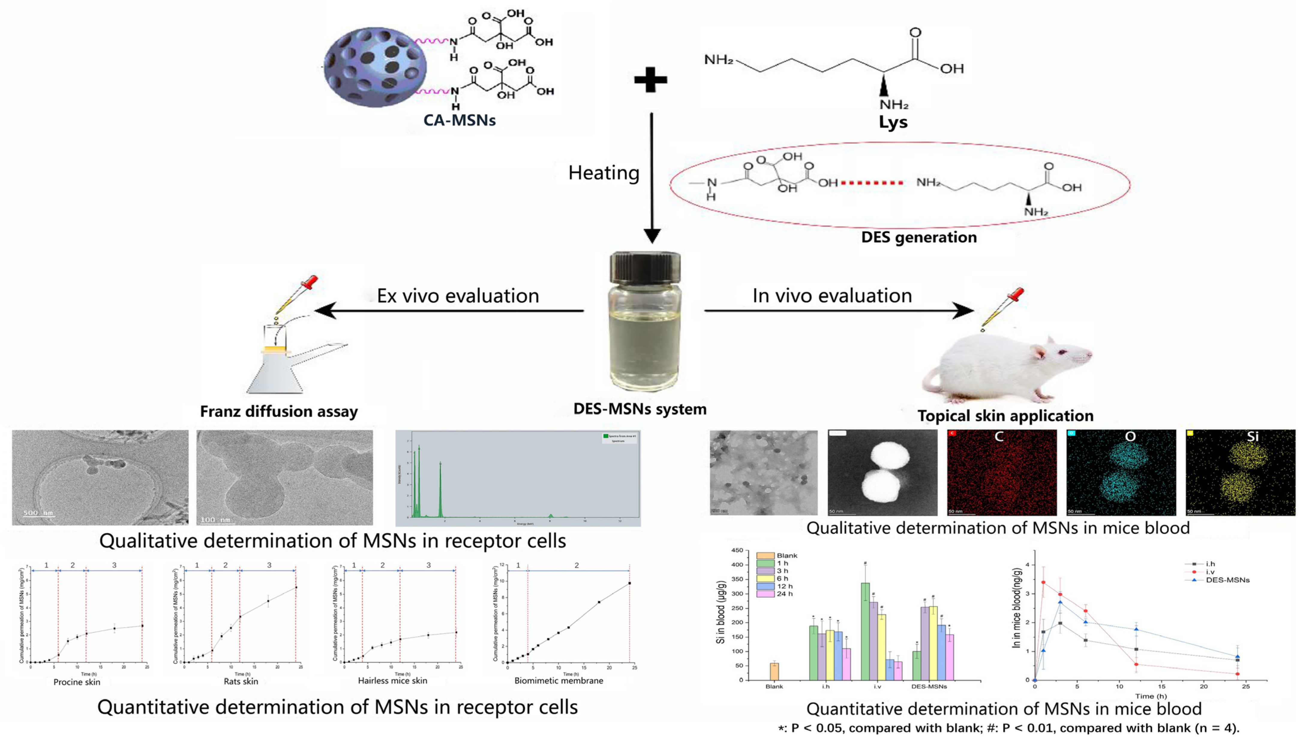 Pharmaceutics 14 02265 g001 Pharmaceutics 14 02265 g001