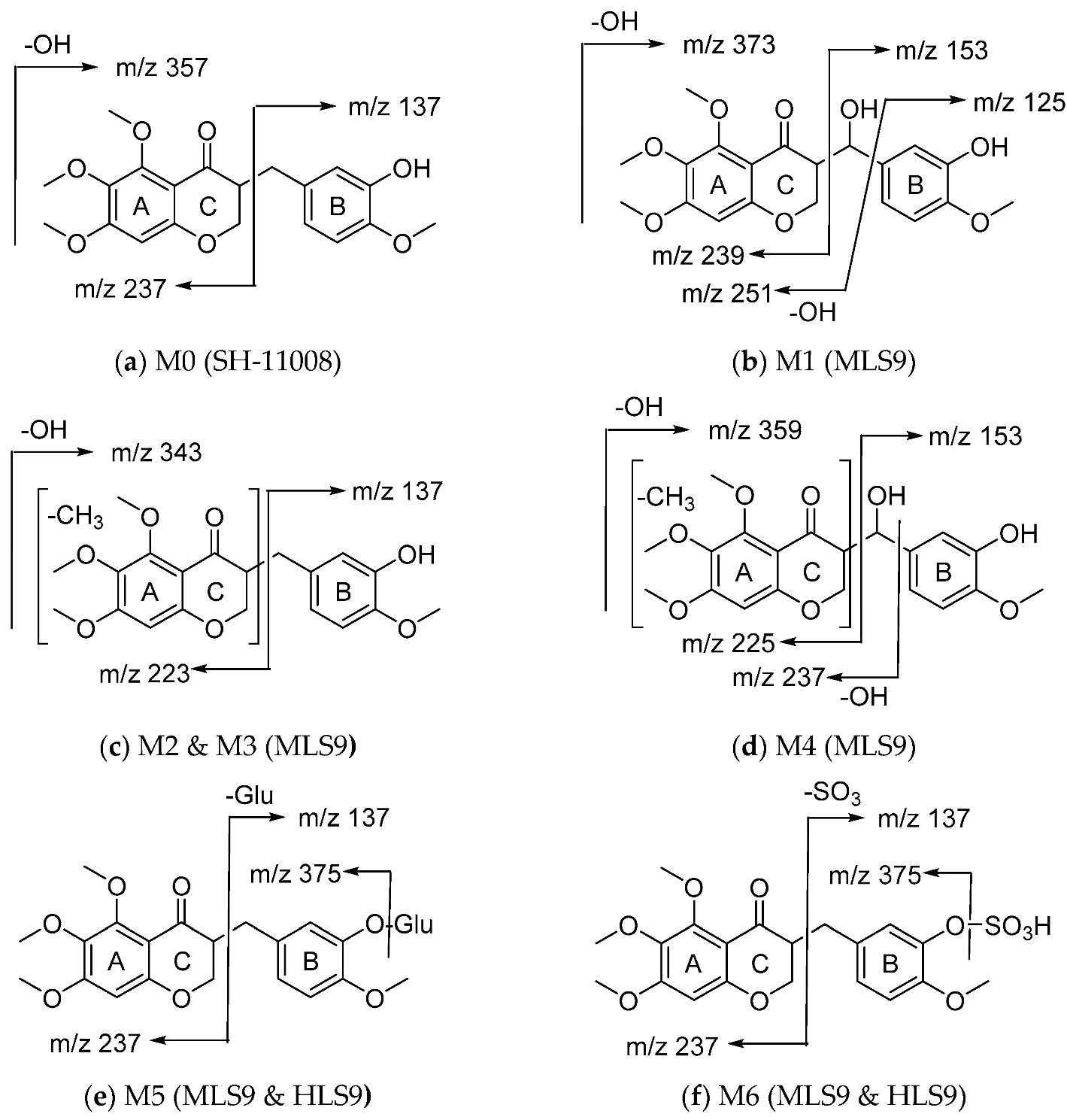 Pharmaceutics 14 02270 g006 Pharmaceutics 14 02270 g006