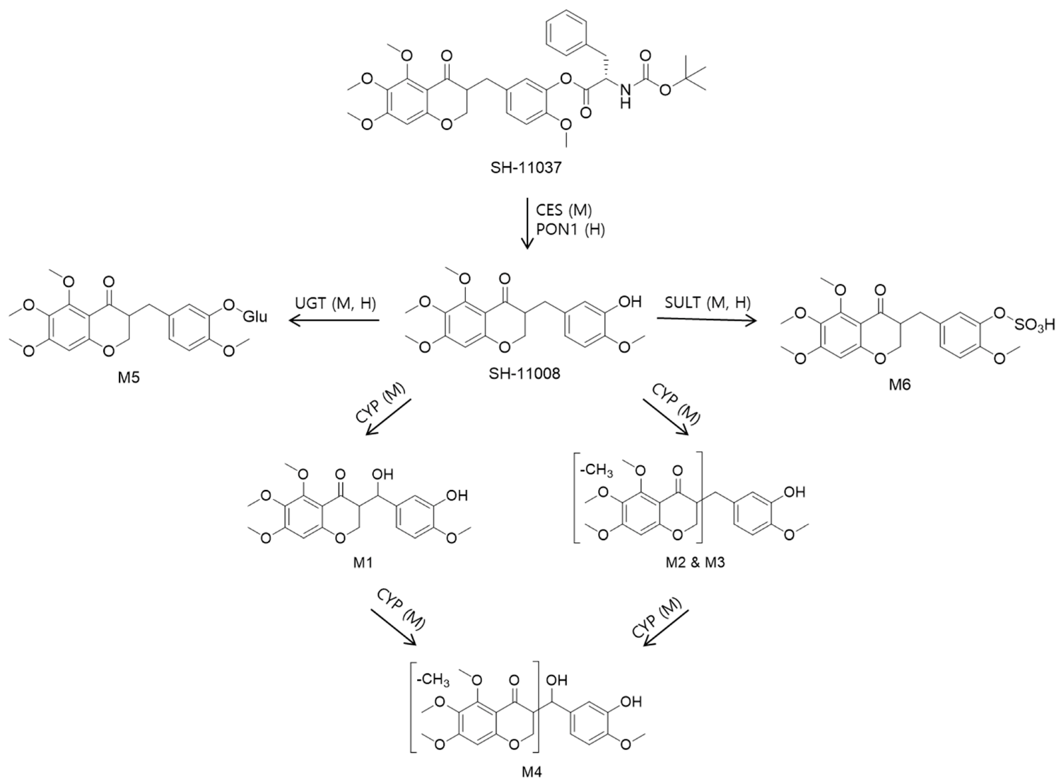 Pharmaceutics 14 02270 sch001 Pharmaceutics 14 02270 sch001