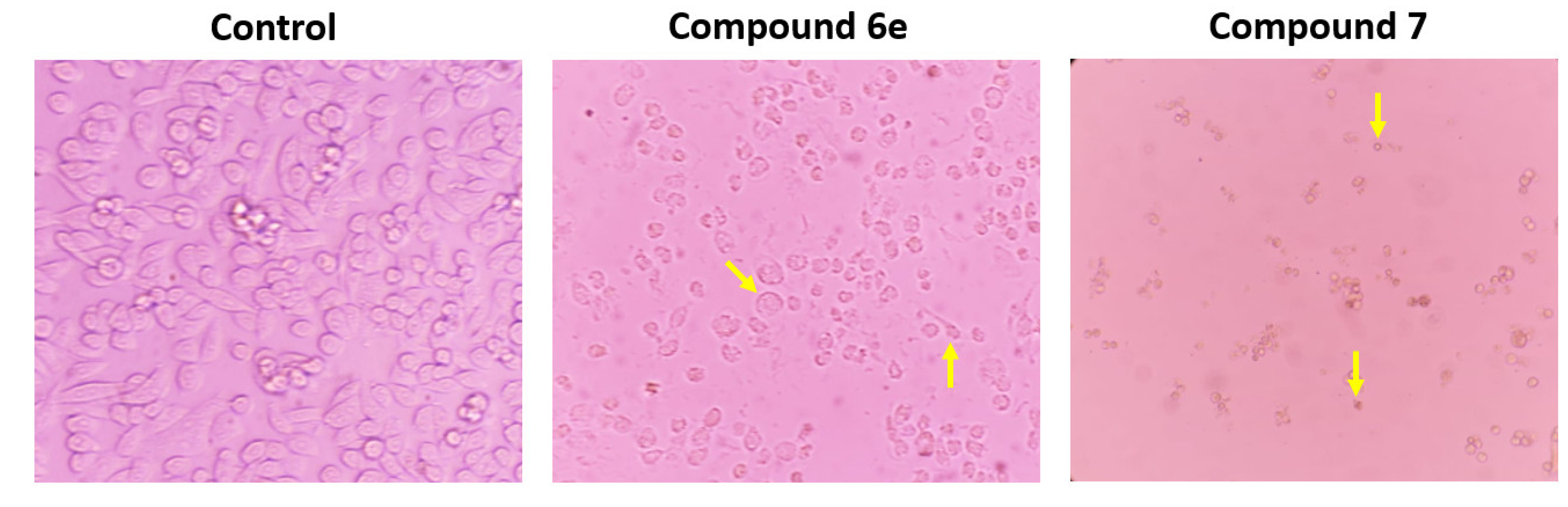 Pharmaceutics 14 02278 g004